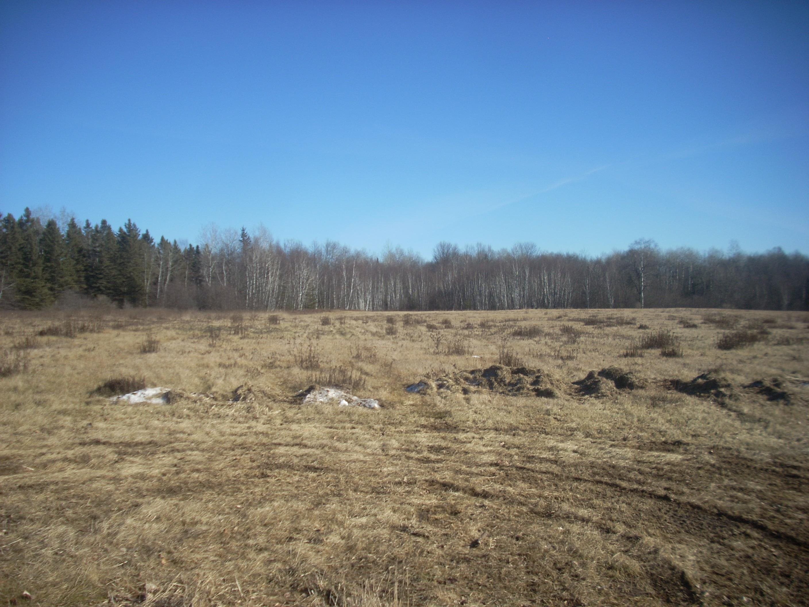 35.85 Acres COUNTY ROAD JJ, Merrill, Wisconsin 54452, ,Land,For Sale,35.85 Acres COUNTY ROAD JJ,22400210