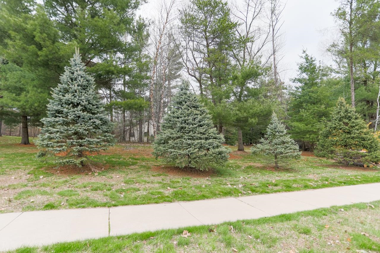 210 BLUESTONE DRIVE, Wausau, Wisconsin 54401, ,Land,For Sale,210 BLUESTONE DRIVE,22400374