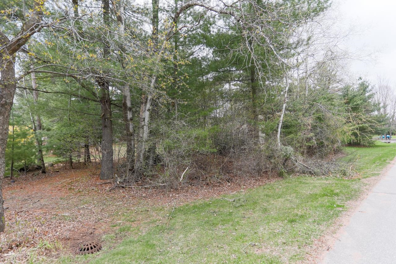 210 BLUESTONE DRIVE, Wausau, Wisconsin 54401, ,Land,For Sale,210 BLUESTONE DRIVE,22400374