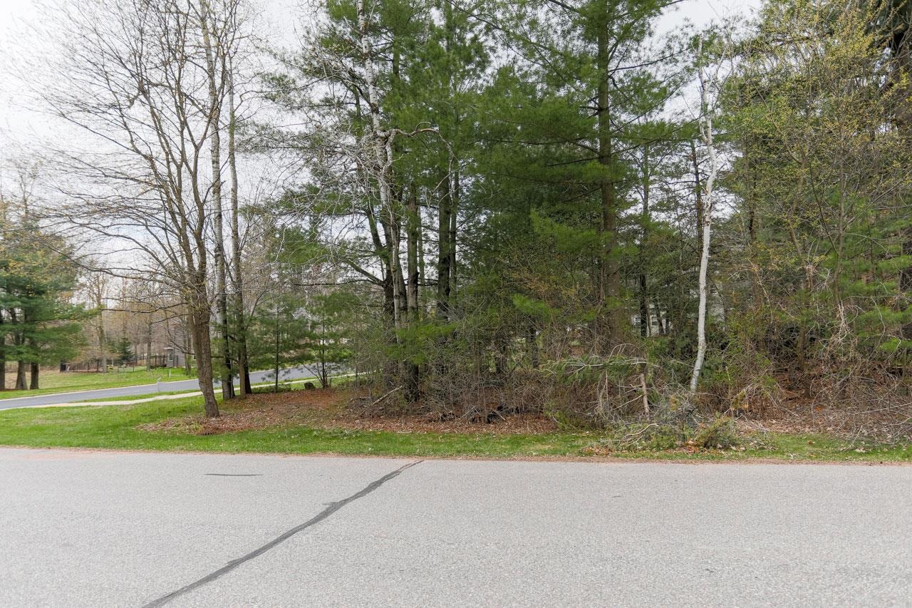 210 BLUESTONE DRIVE, Wausau, Wisconsin 54401, ,Land,For Sale,210 BLUESTONE DRIVE,22400374
