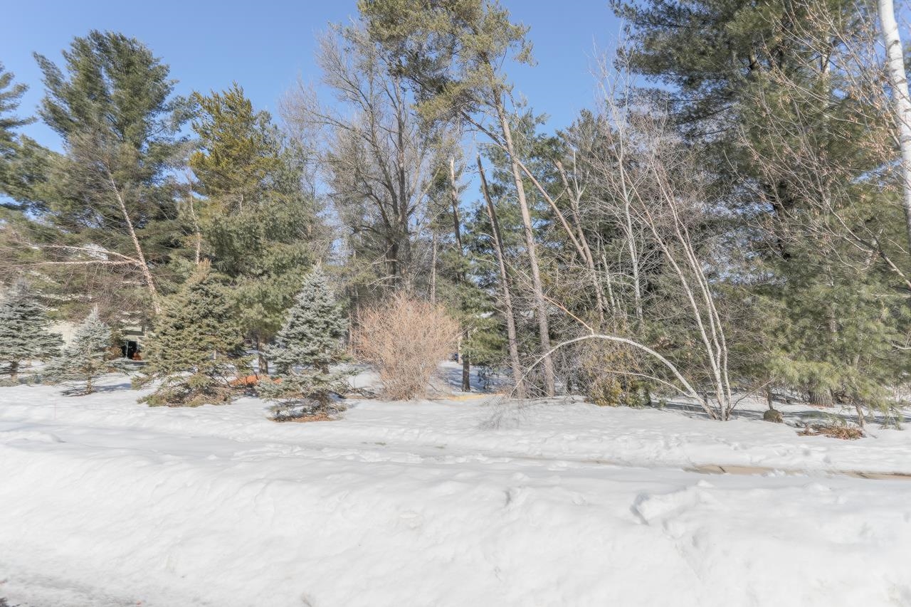 210 BLUESTONE DRIVE, Wausau, Wisconsin 54401, ,Land,For Sale,210 BLUESTONE DRIVE,22400374