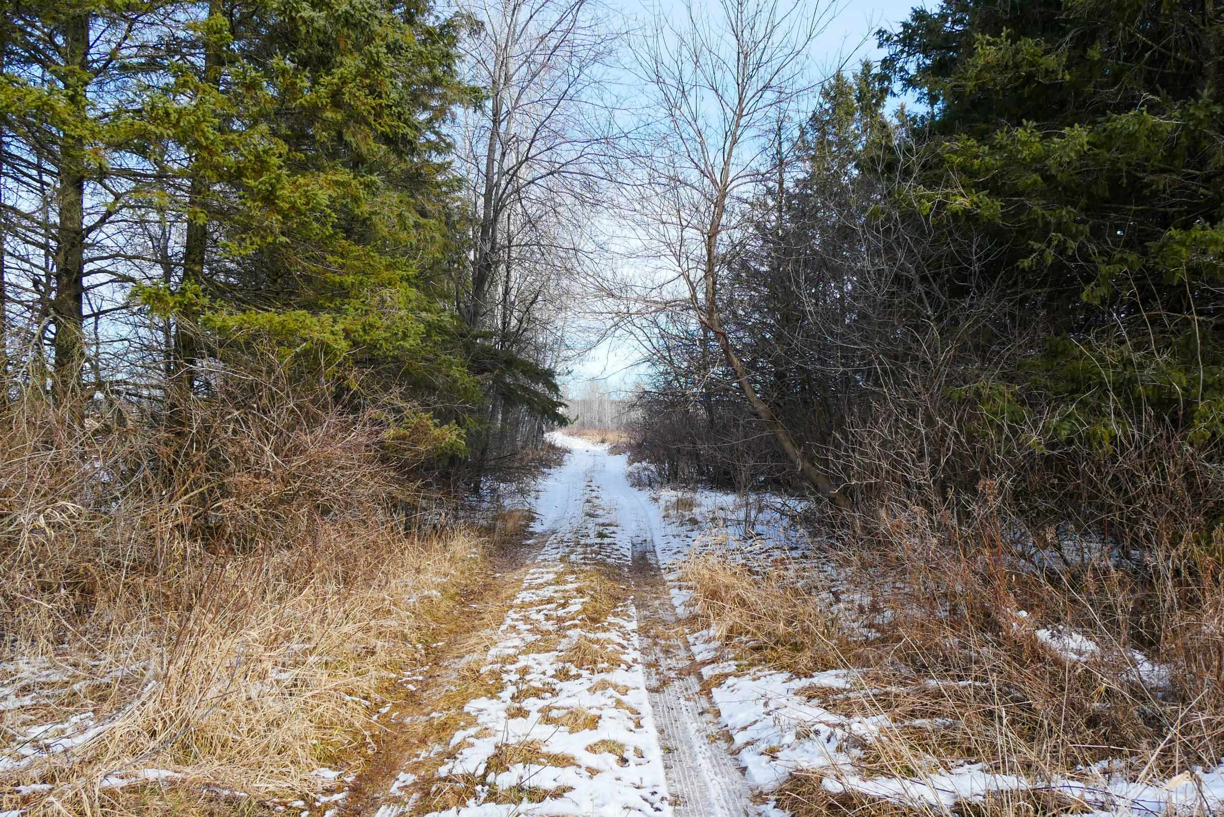 +/- 56.37 Acres COUNTY ROAD O, Medford, Wisconsin 54451, ,Land,For Sale,+/- 56.37 Acres COUNTY ROAD O,22400423