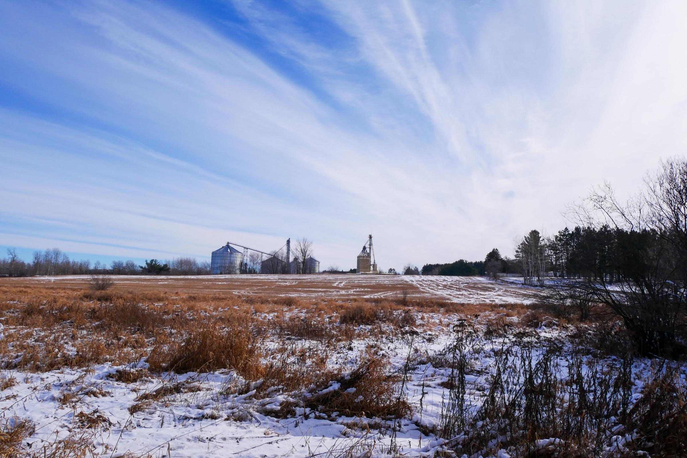 +/- 56.37 Acres COUNTY ROAD O, Medford, Wisconsin 54451, ,Land,For Sale,+/- 56.37 Acres COUNTY ROAD O,22400423