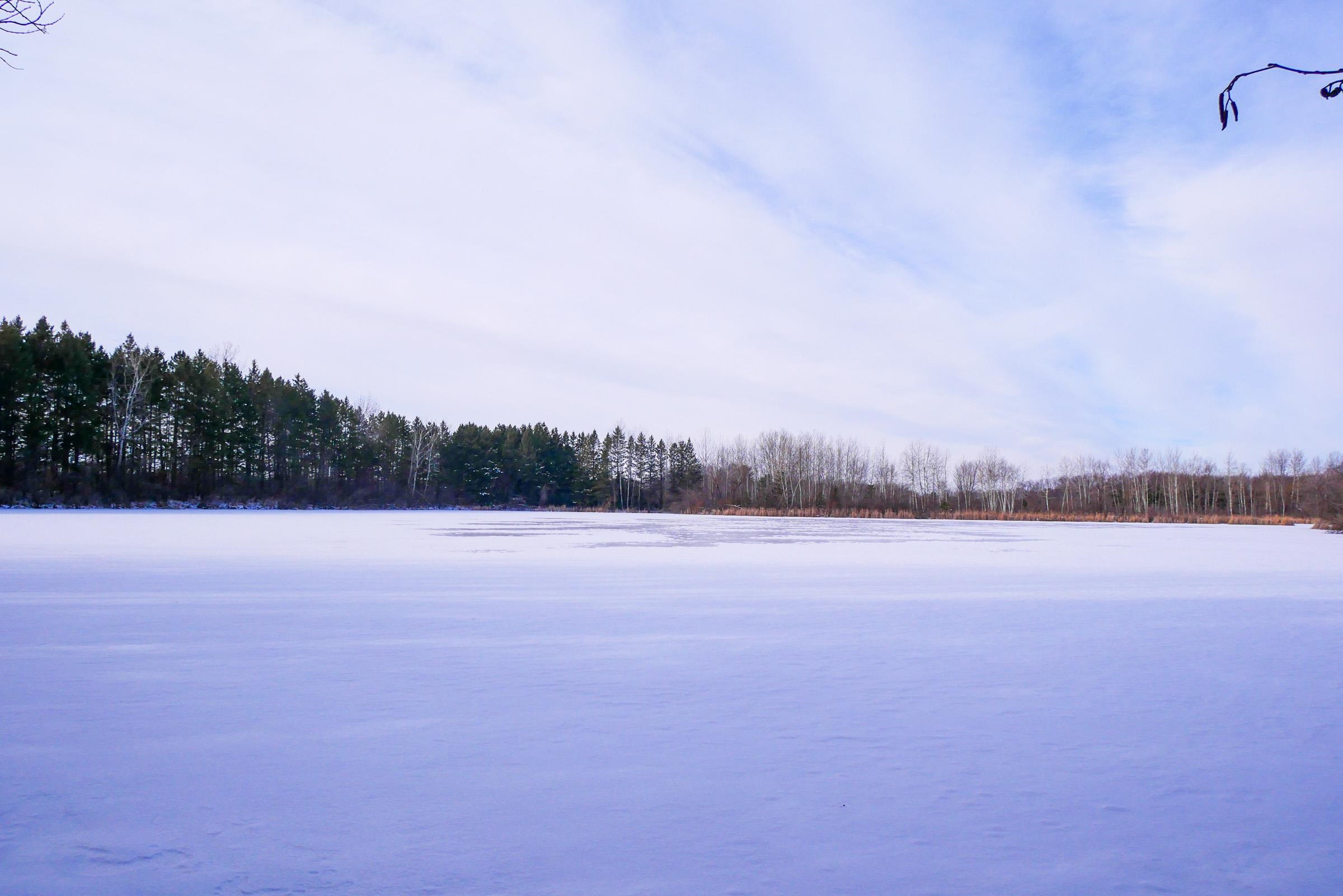 +/- 56.37 Acres COUNTY ROAD O, Medford, Wisconsin 54451, ,Land,For Sale,+/- 56.37 Acres COUNTY ROAD O,22400423