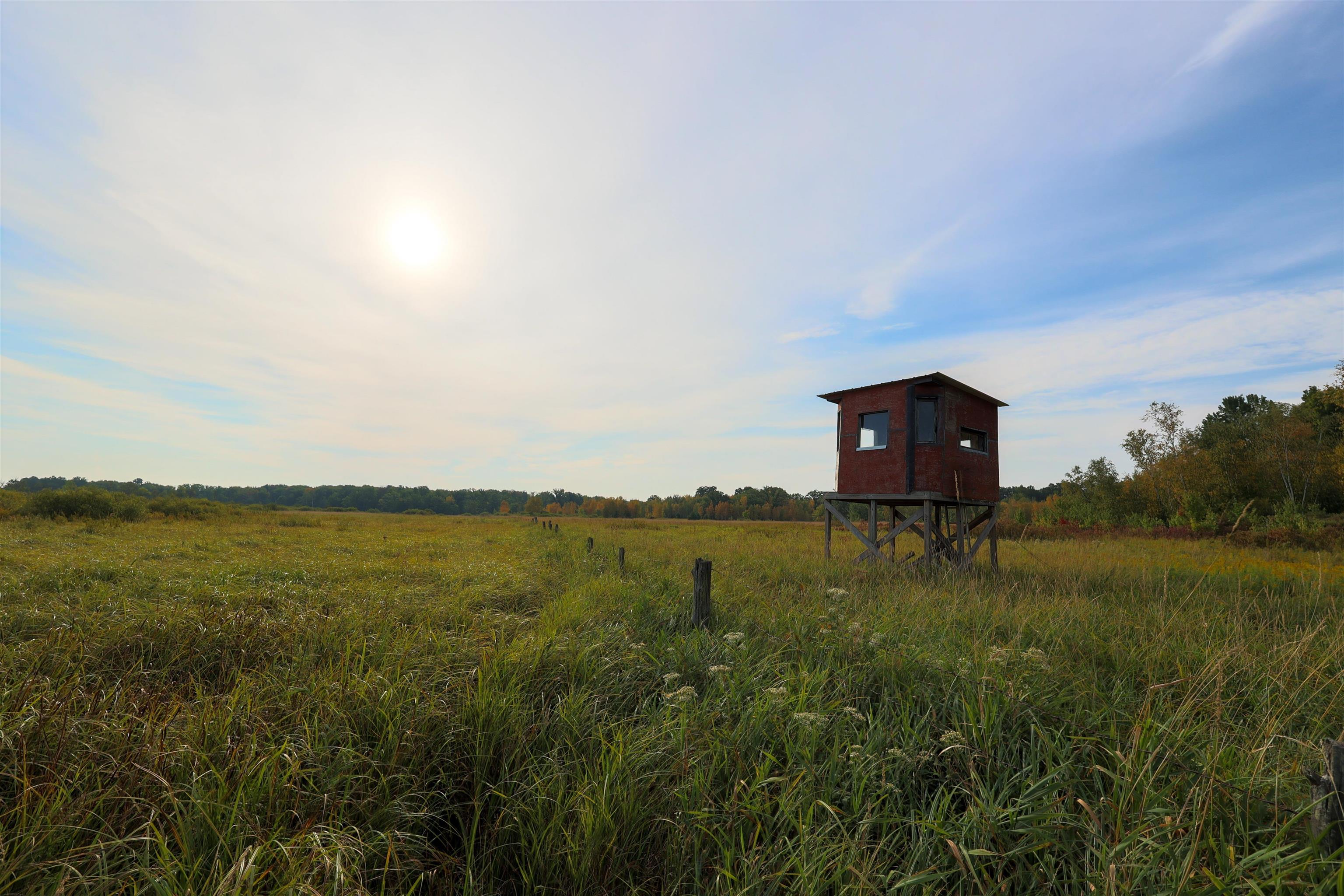 40 Acres COUNTY ROAD II, Rudolph, Wisconsin 54475, ,Land,For Sale,40 Acres COUNTY ROAD II,22400603