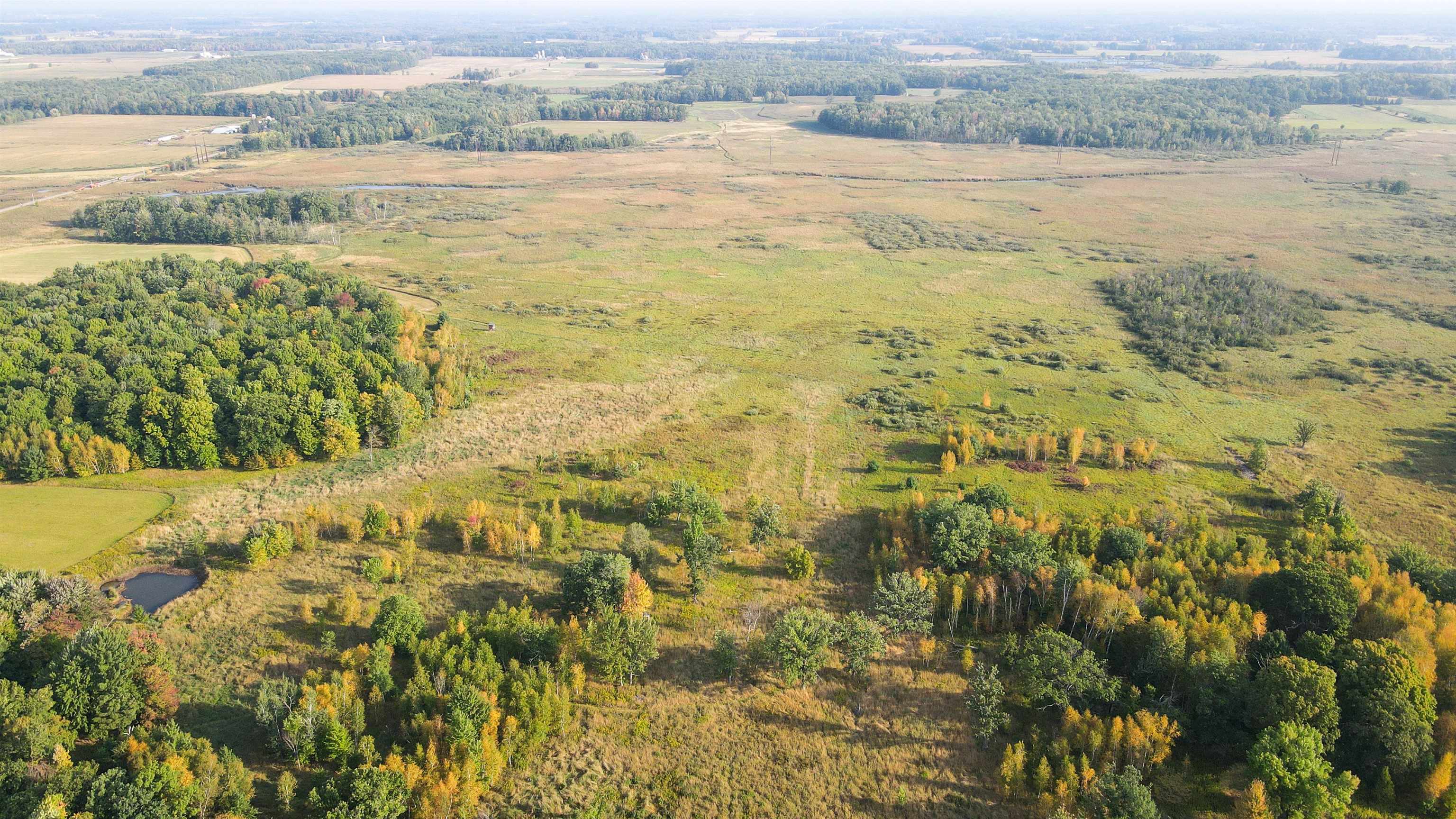40 Acres COUNTY ROAD II, Rudolph, Wisconsin 54475, ,Land,For Sale,40 Acres COUNTY ROAD II,22400603