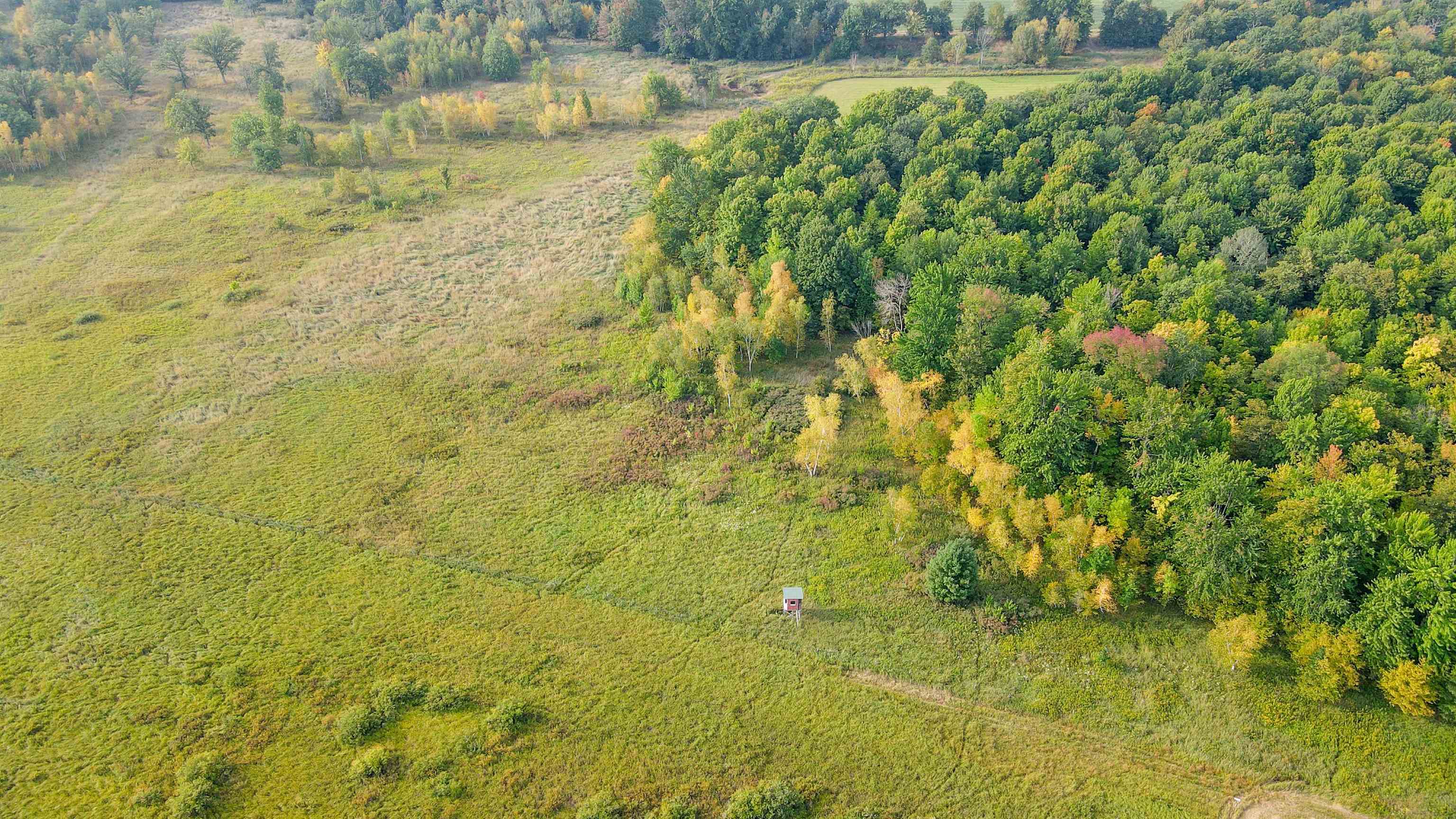 40 Acres COUNTY ROAD II, Rudolph, Wisconsin 54475, ,Land,For Sale,40 Acres COUNTY ROAD II,22400603
