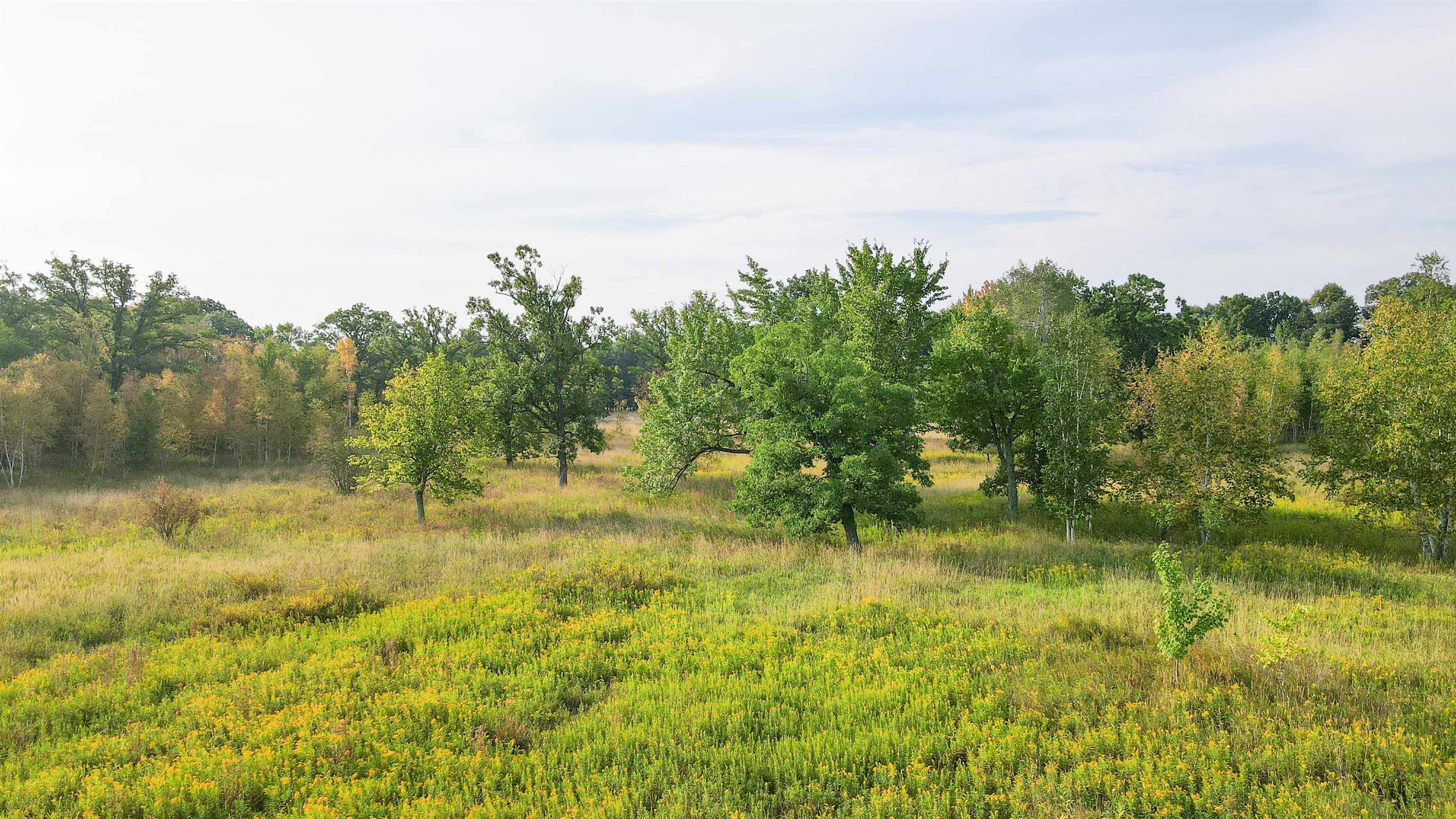40 Acres COUNTY ROAD II, Rudolph, Wisconsin 54475, ,Land,For Sale,40 Acres COUNTY ROAD II,22400603