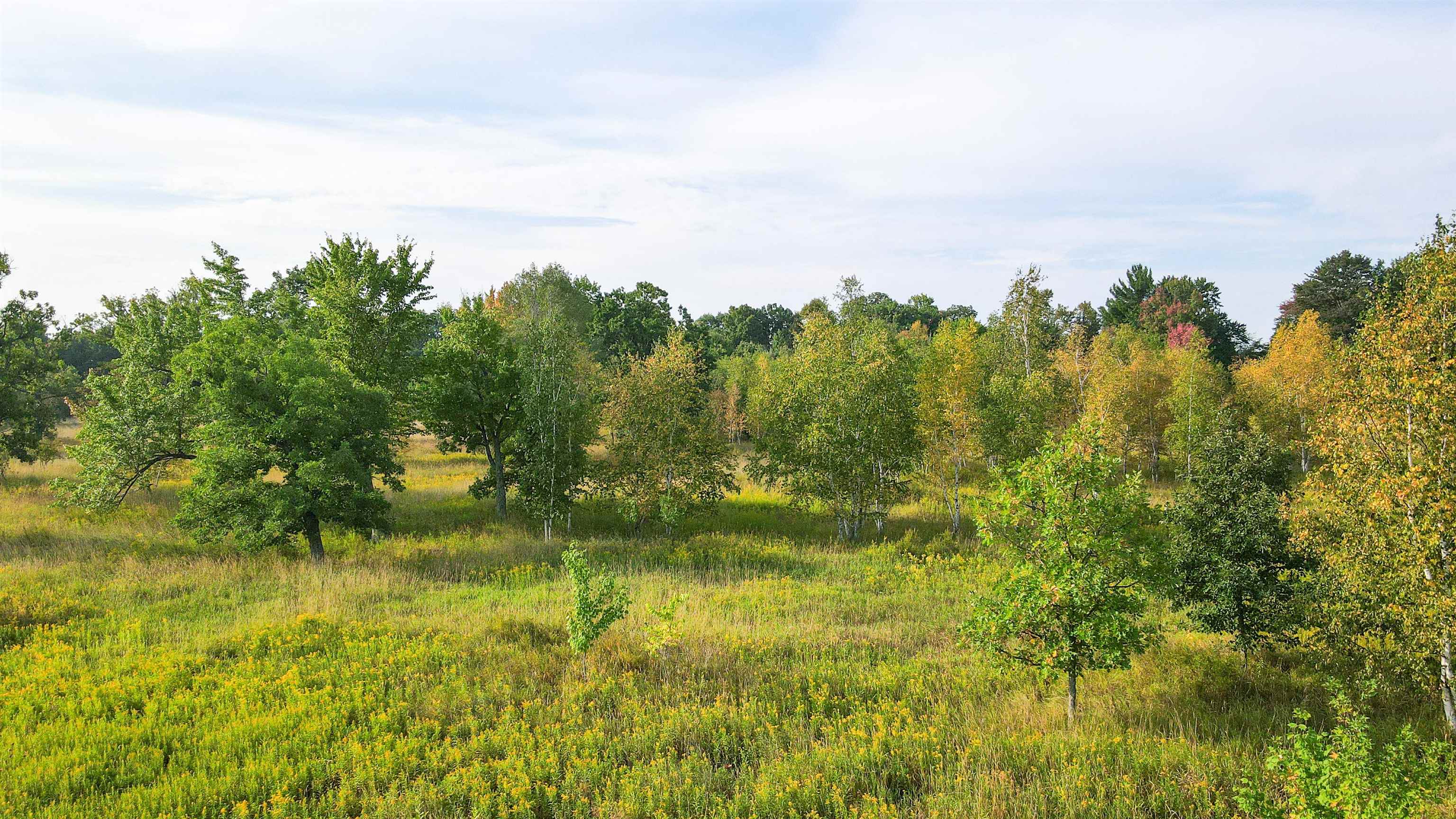 40 Acres COUNTY ROAD II, Rudolph, Wisconsin 54475, ,Land,For Sale,40 Acres COUNTY ROAD II,22400603