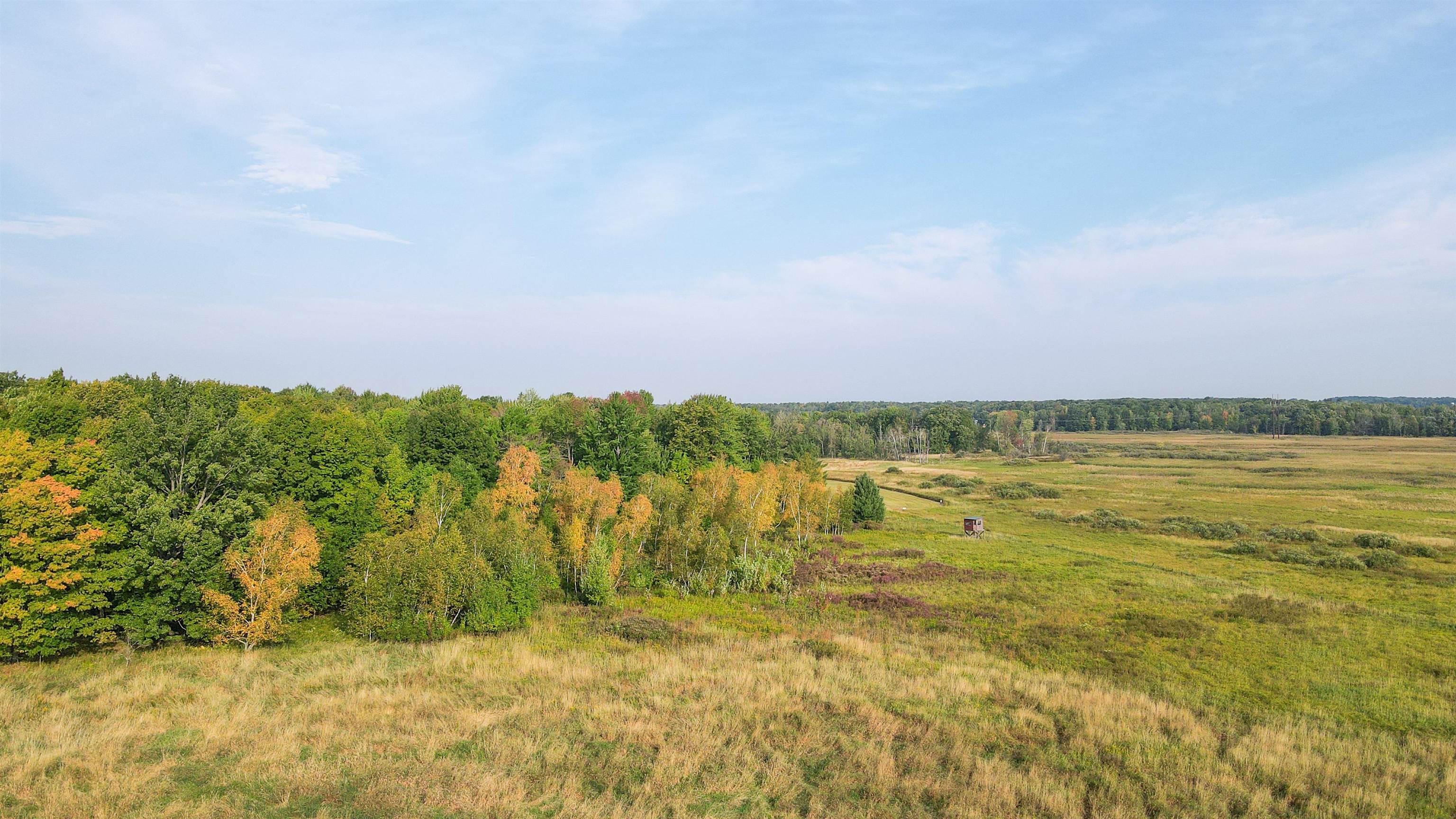 40 Acres COUNTY ROAD II, Rudolph, Wisconsin 54475, ,Land,For Sale,40 Acres COUNTY ROAD II,22400603