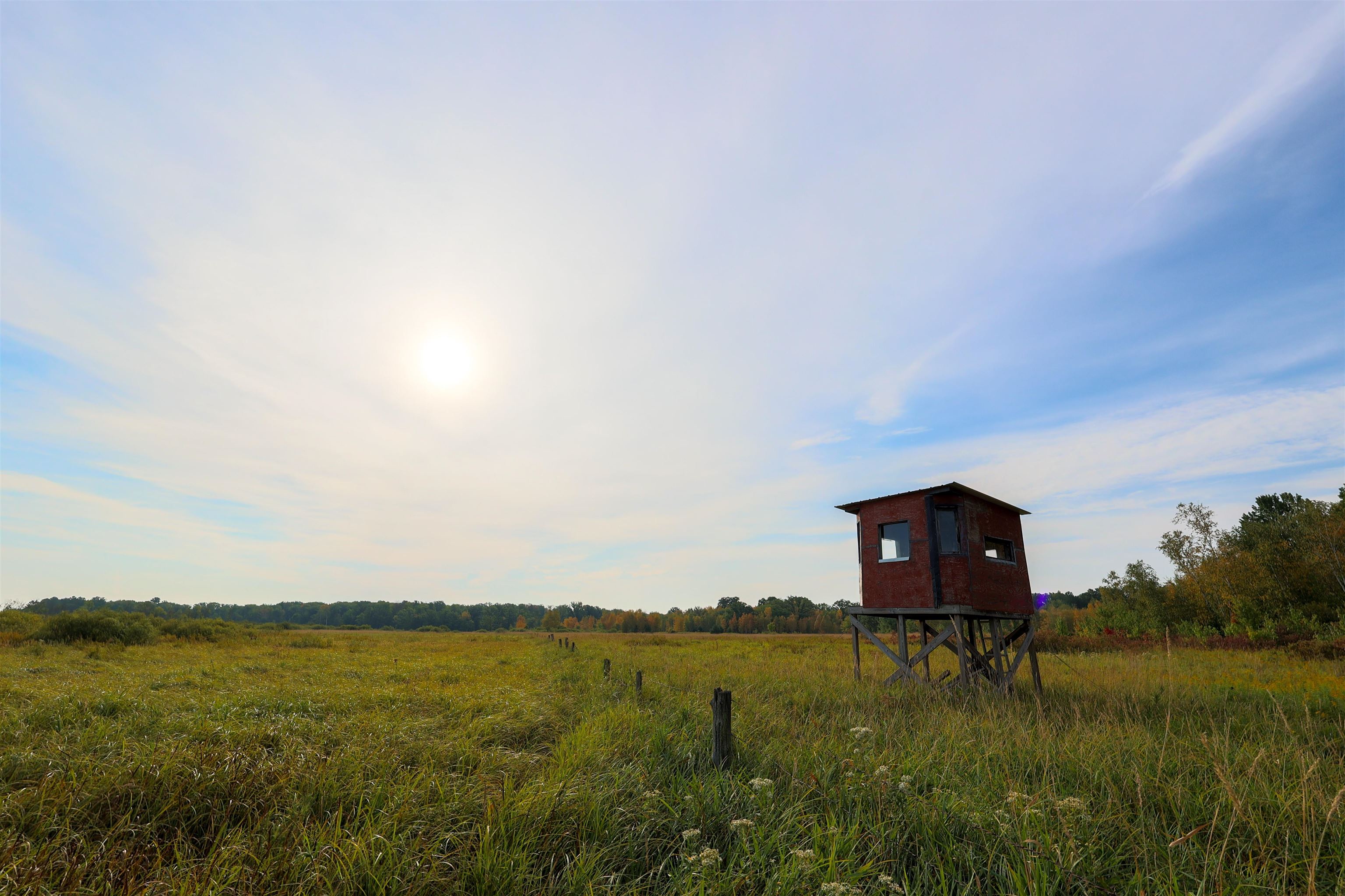 40 Acres COUNTY ROAD II, Rudolph, Wisconsin 54475, ,Land,For Sale,40 Acres COUNTY ROAD II,22400603