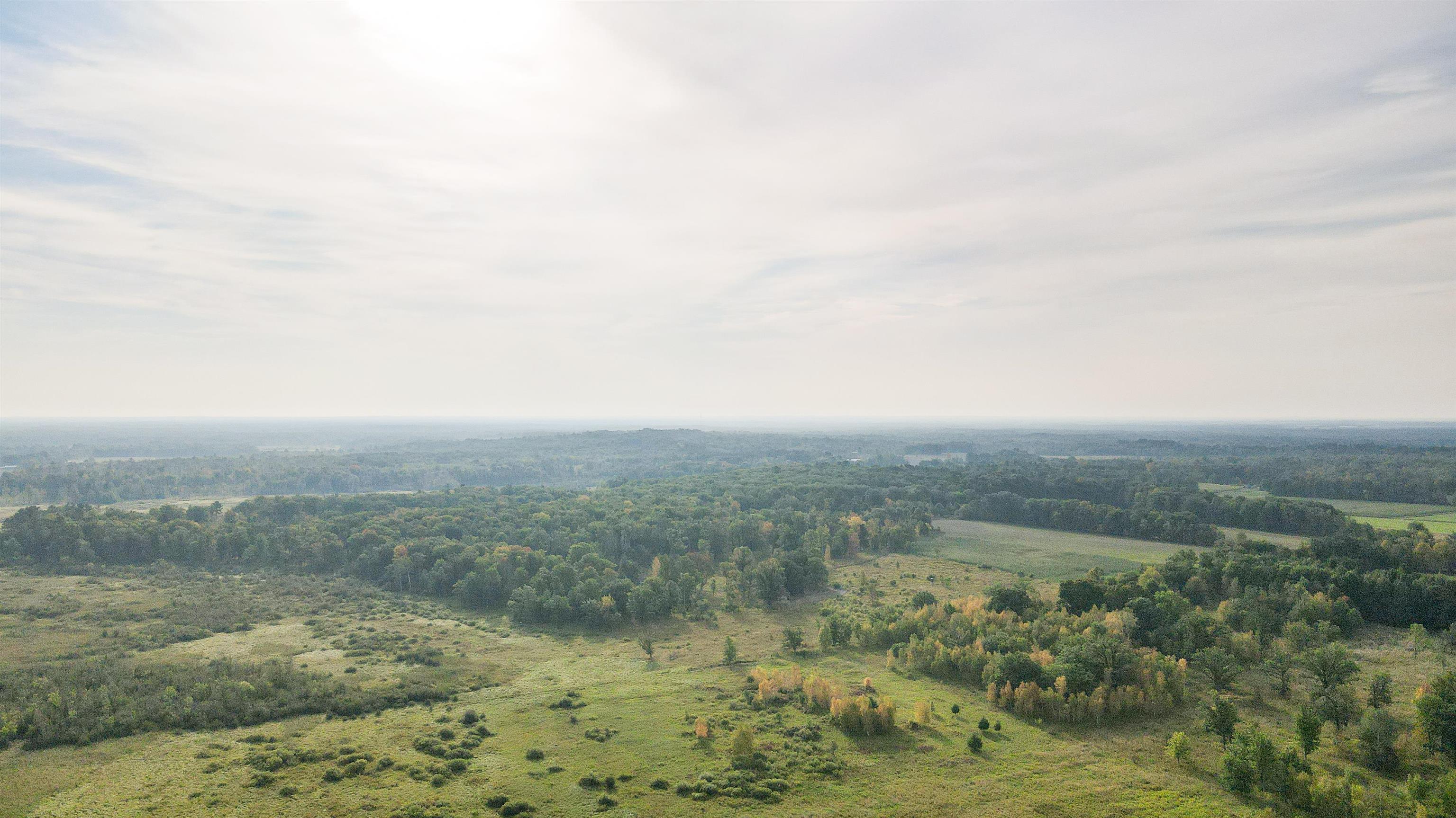 40 Acres COUNTY ROAD II, Rudolph, Wisconsin 54475, ,Land,For Sale,40 Acres COUNTY ROAD II,22400603