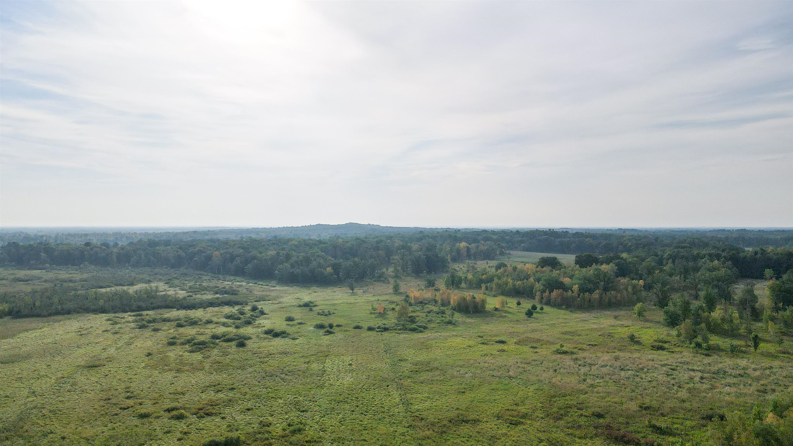 40 Acres COUNTY ROAD II, Rudolph, Wisconsin 54475, ,Land,For Sale,40 Acres COUNTY ROAD II,22400603