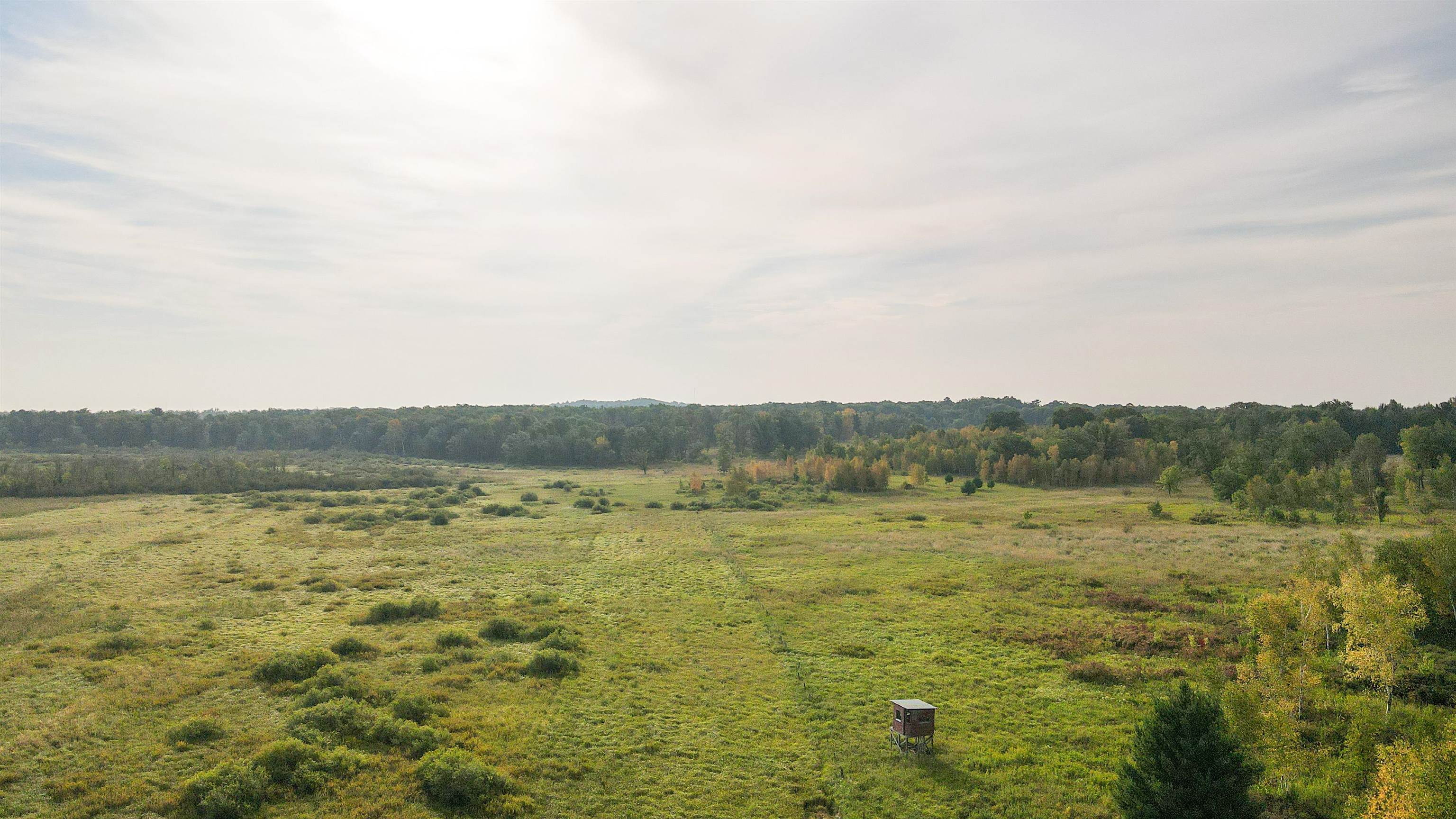 40 Acres COUNTY ROAD II, Rudolph, Wisconsin 54475, ,Land,For Sale,40 Acres COUNTY ROAD II,22400603