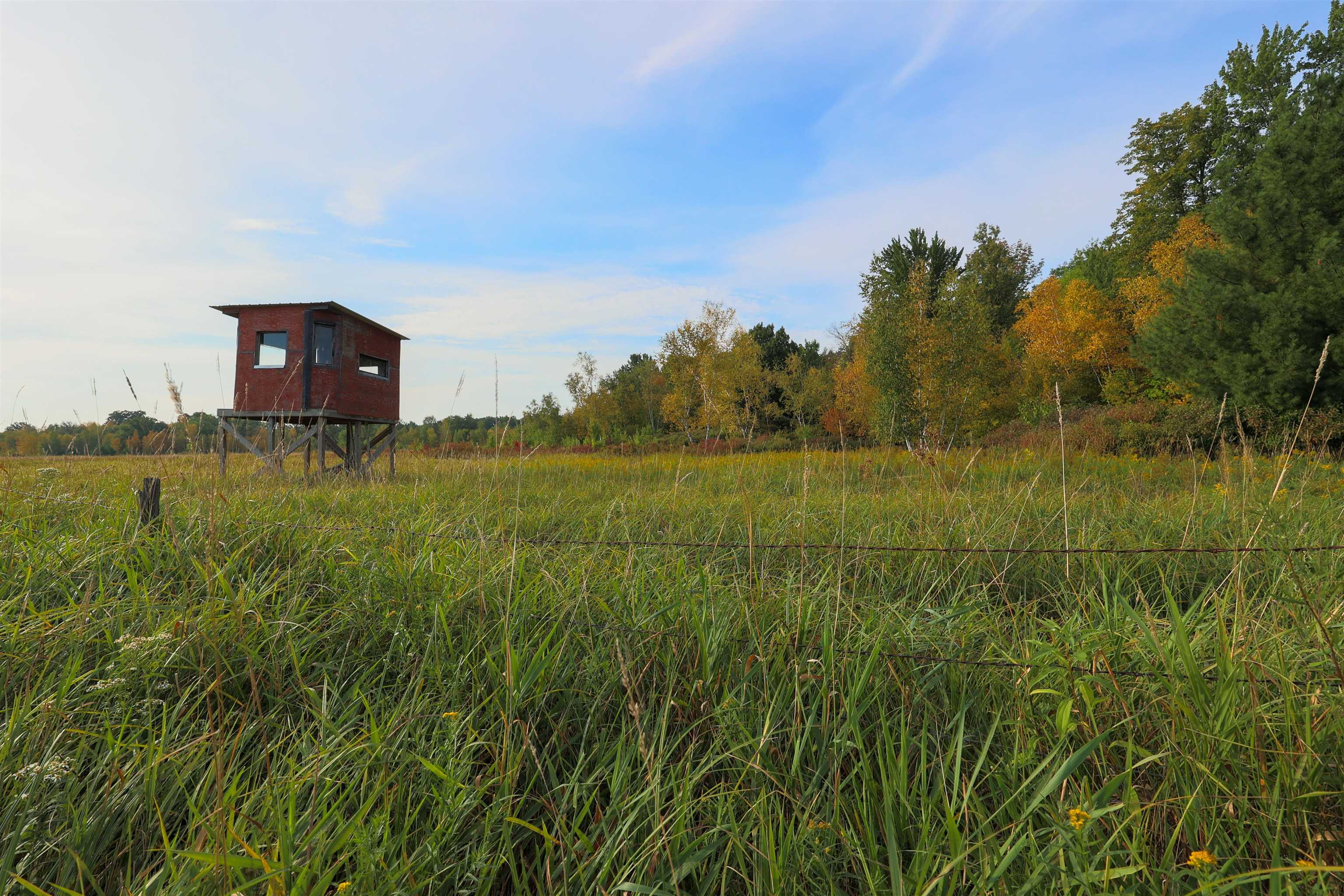 40 Acres COUNTY ROAD II, Rudolph, Wisconsin 54475, ,Land,For Sale,40 Acres COUNTY ROAD II,22400603