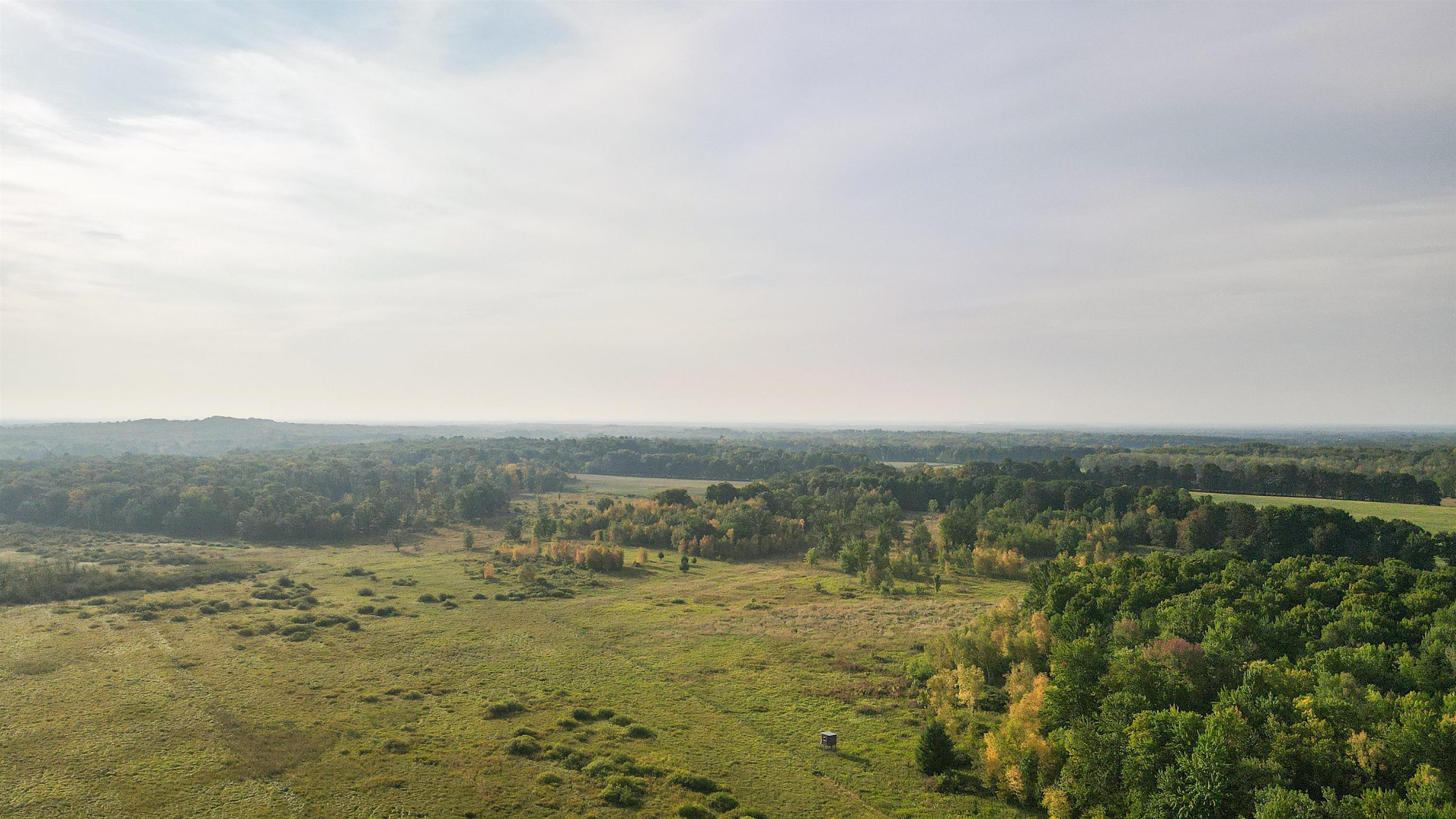 40 Acres COUNTY ROAD II, Rudolph, Wisconsin 54475, ,Land,For Sale,40 Acres COUNTY ROAD II,22400603