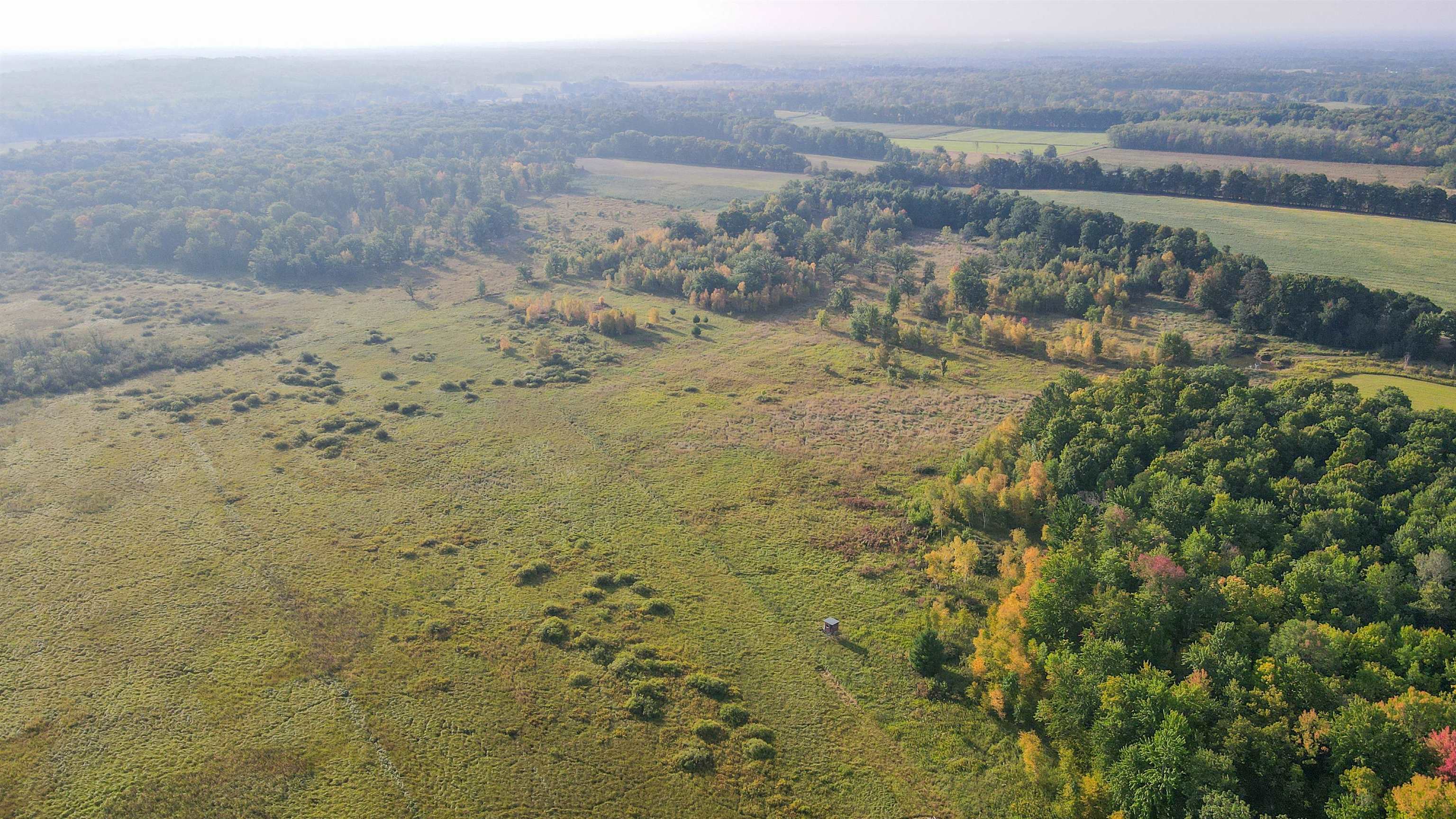 40 Acres COUNTY ROAD II, Rudolph, Wisconsin 54475, ,Land,For Sale,40 Acres COUNTY ROAD II,22400603