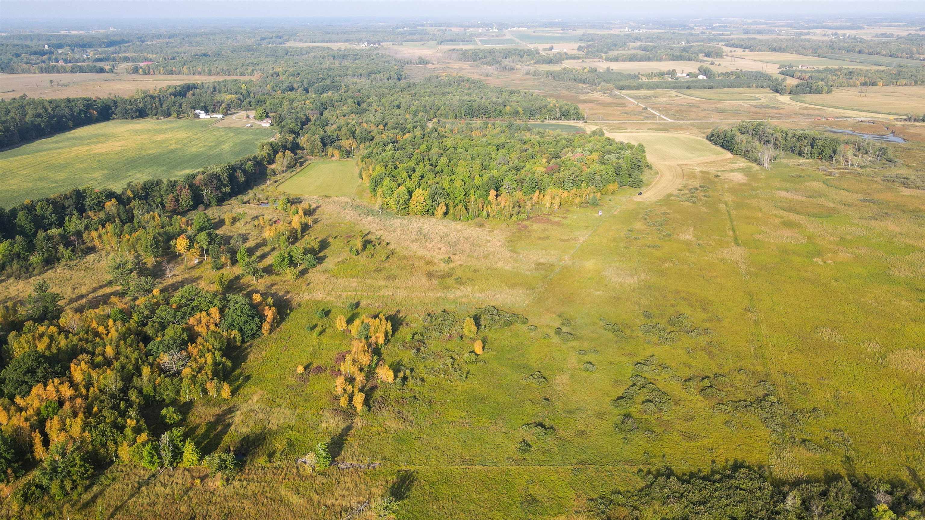 40 Acres COUNTY ROAD II, Rudolph, Wisconsin 54475, ,Land,For Sale,40 Acres COUNTY ROAD II,22400603