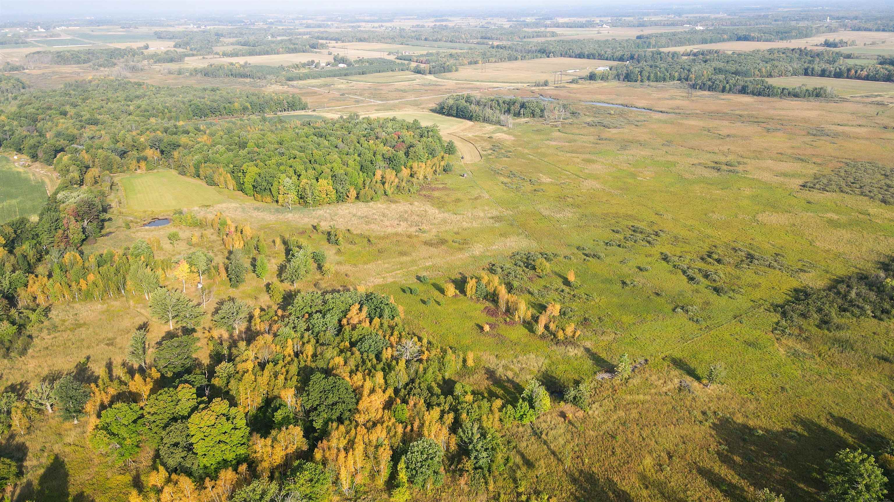 40 Acres COUNTY ROAD II, Rudolph, Wisconsin 54475, ,Land,For Sale,40 Acres COUNTY ROAD II,22400603
