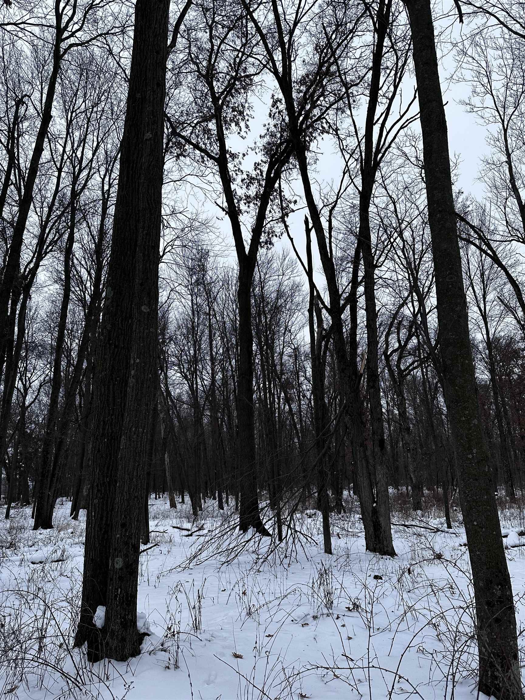 10 Acres NINTH STREET