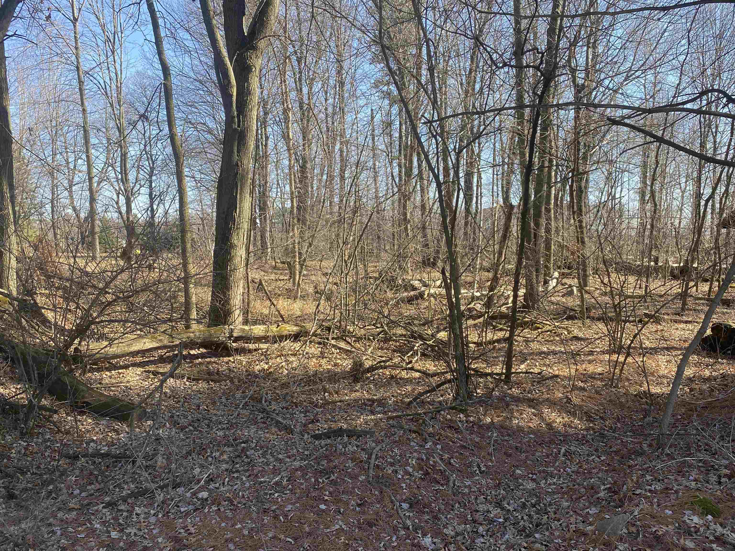 0 GEORGIA STREET NORTH, Stevens Point, Wisconsin 54481, ,Land,For Sale,0 GEORGIA STREET NORTH,22400676