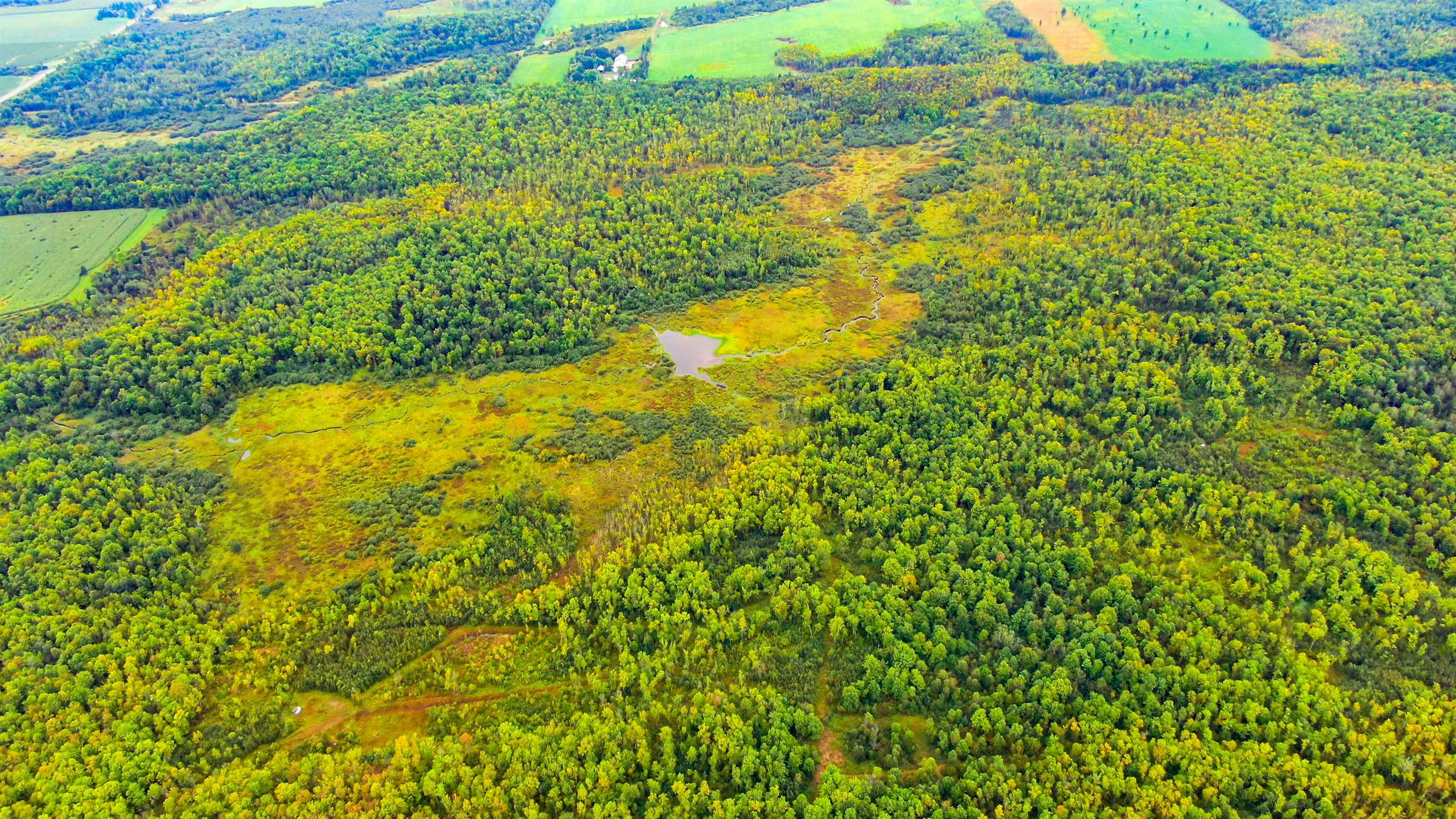 00 WILDFLOWER ROAD, Sheldon, Wisconsin 54766, ,Land,For Sale,00 WILDFLOWER ROAD,22400747