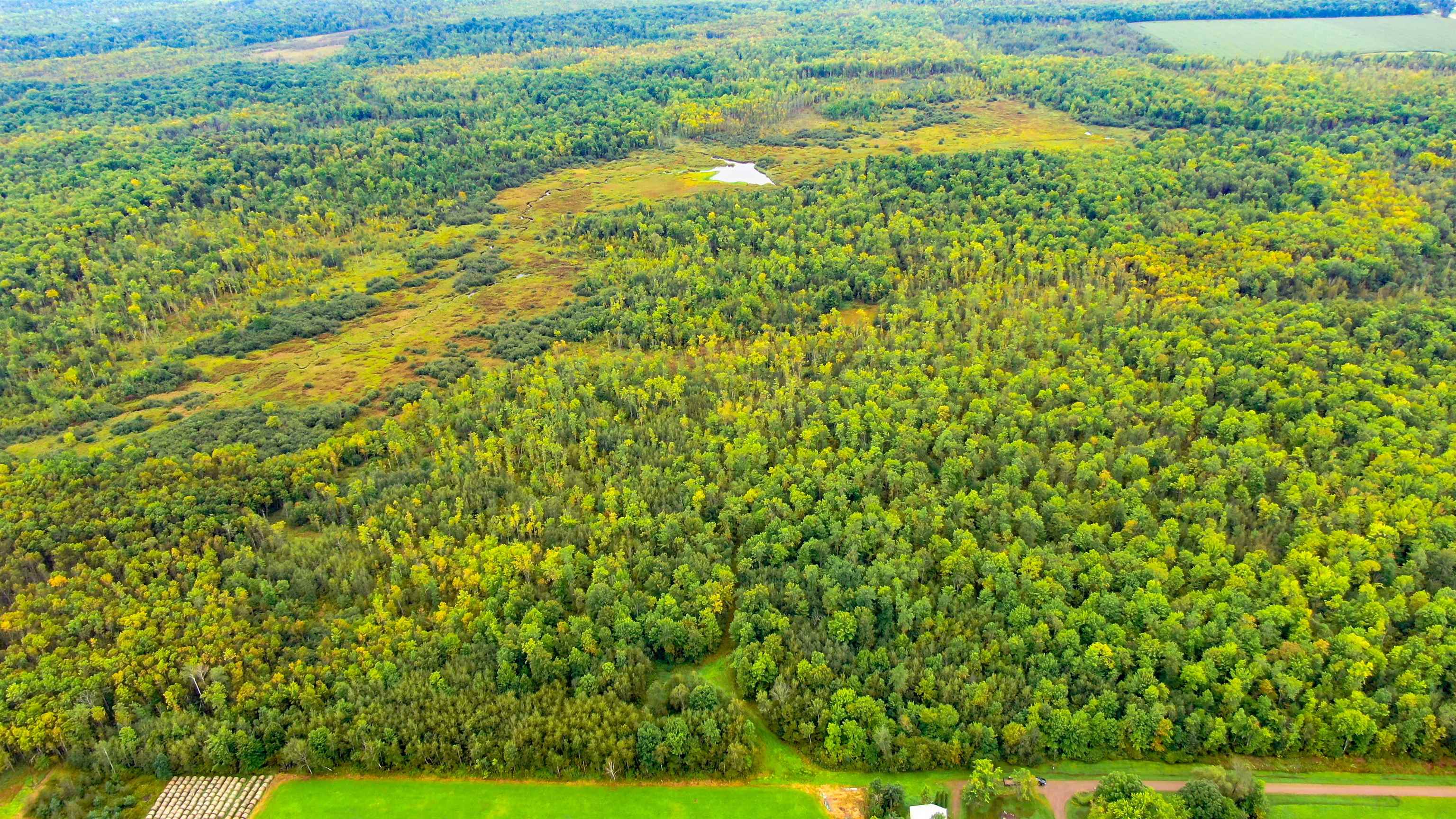 00 WILDFLOWER ROAD, Sheldon, Wisconsin 54766, ,Land,For Sale,00 WILDFLOWER ROAD,22400747