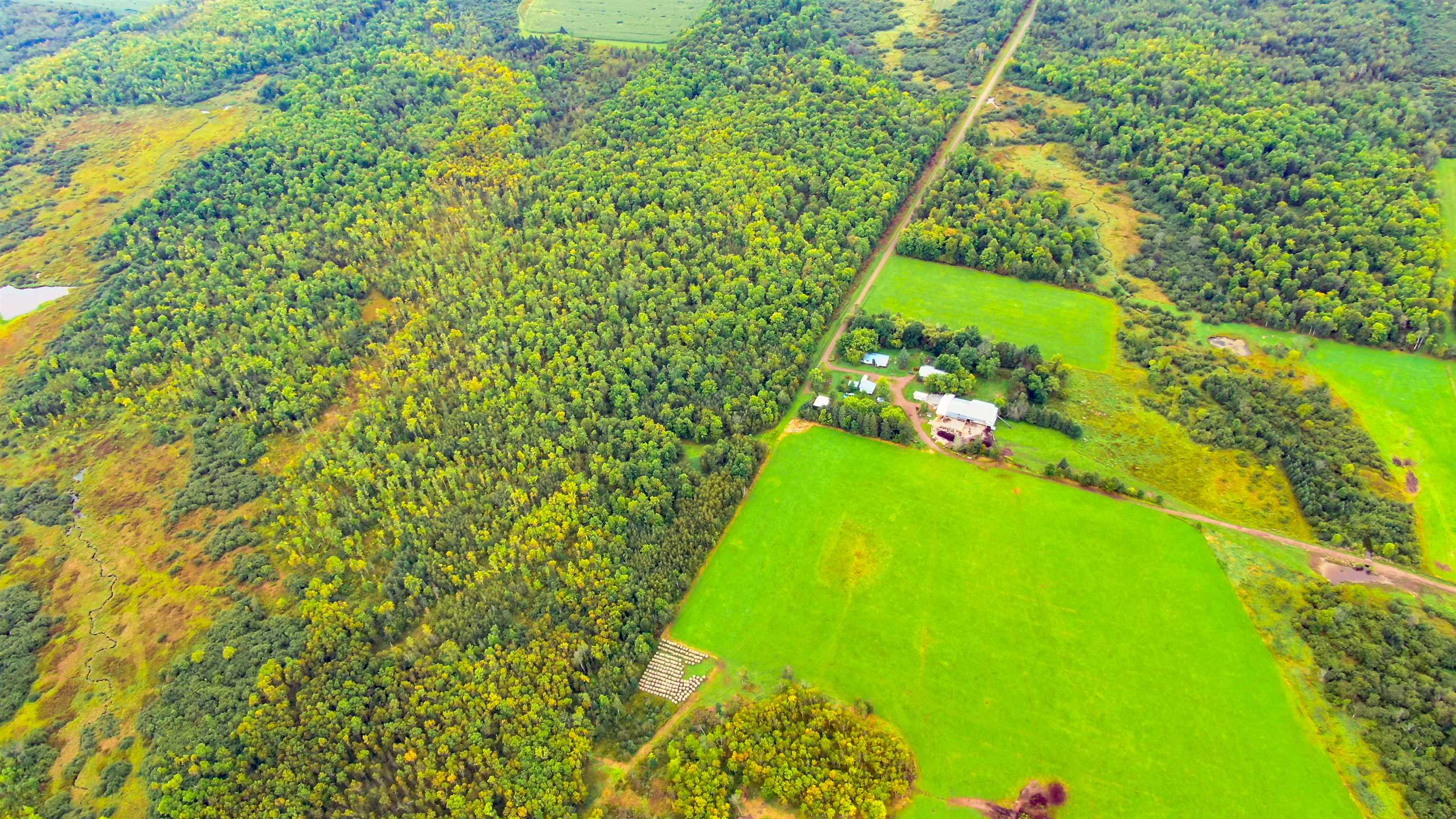 00 WILDFLOWER ROAD, Sheldon, Wisconsin 54766, ,Land,For Sale,00 WILDFLOWER ROAD,22400747