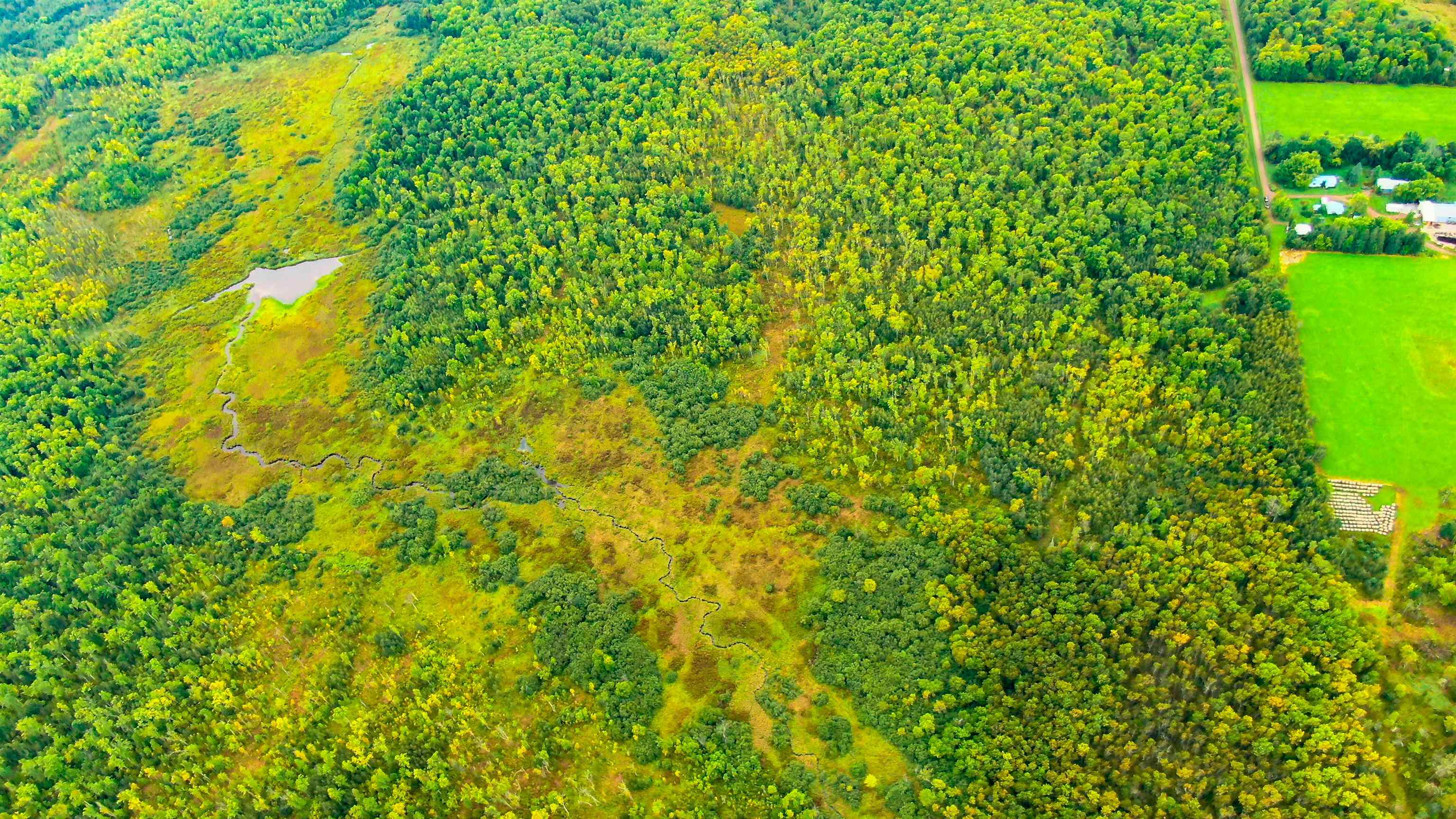 00 WILDFLOWER ROAD, Sheldon, Wisconsin 54766, ,Land,For Sale,00 WILDFLOWER ROAD,22400747