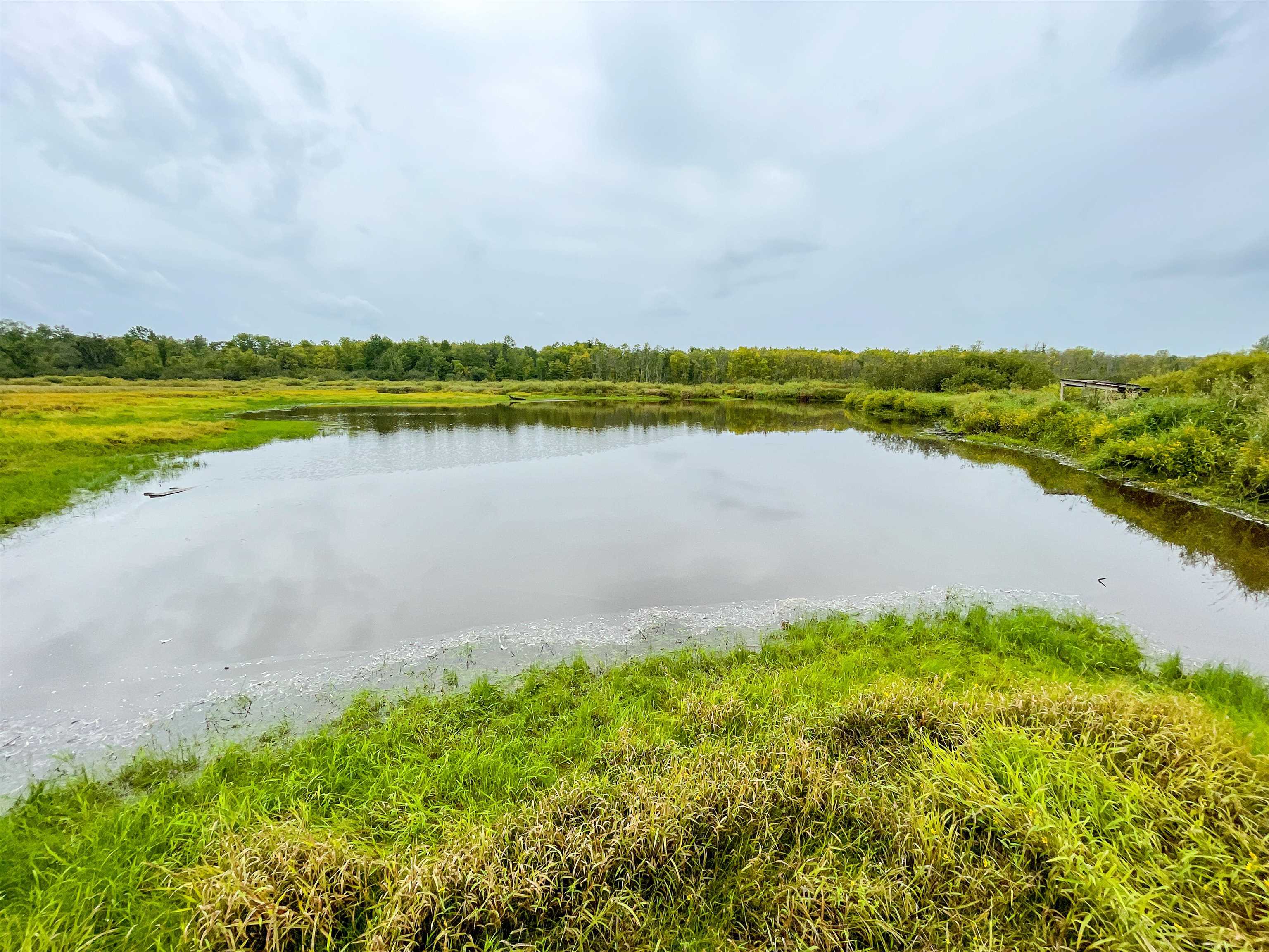00 WILDFLOWER ROAD, Sheldon, Wisconsin 54766, ,Land,For Sale,00 WILDFLOWER ROAD,22400747