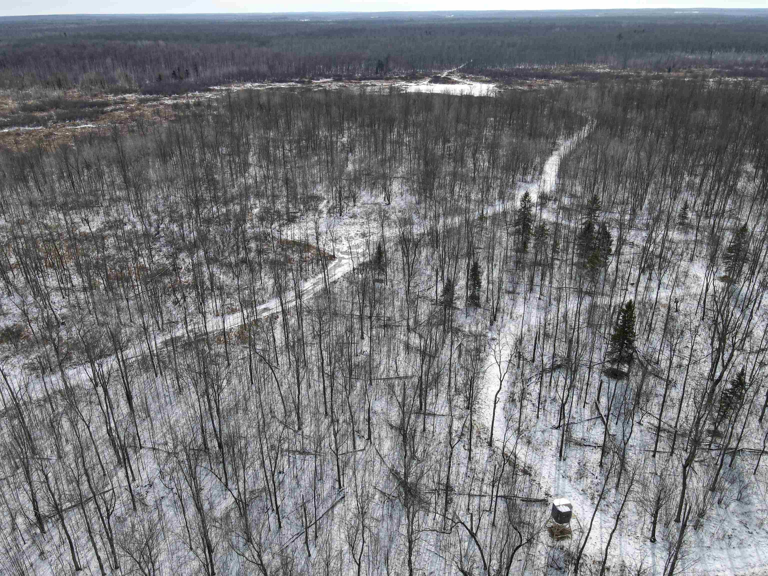 00 WILDFLOWER ROAD, Sheldon, Wisconsin 54766, ,Land,For Sale,00 WILDFLOWER ROAD,22400747
