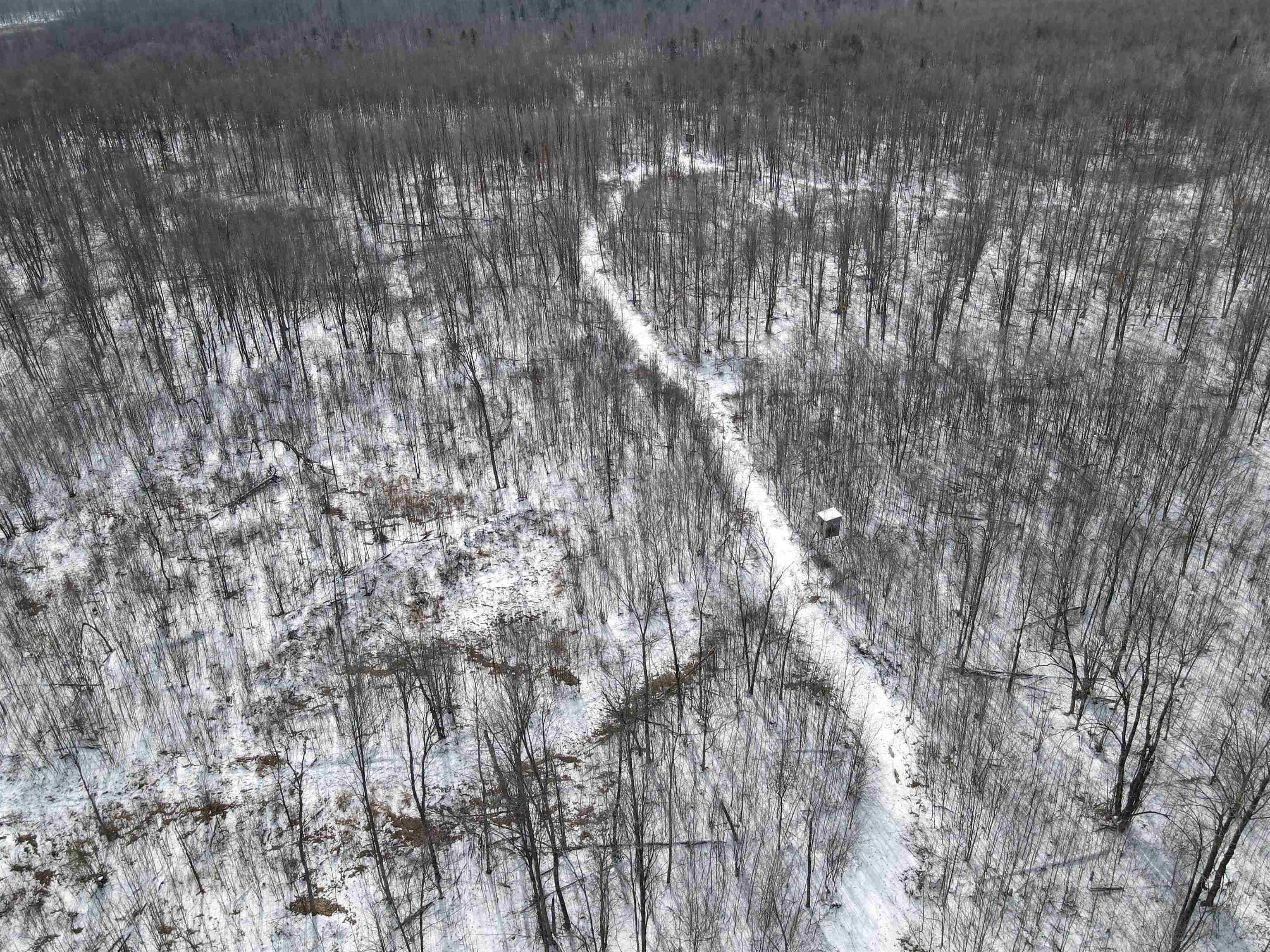 00 WILDFLOWER ROAD, Sheldon, Wisconsin 54766, ,Land,For Sale,00 WILDFLOWER ROAD,22400747