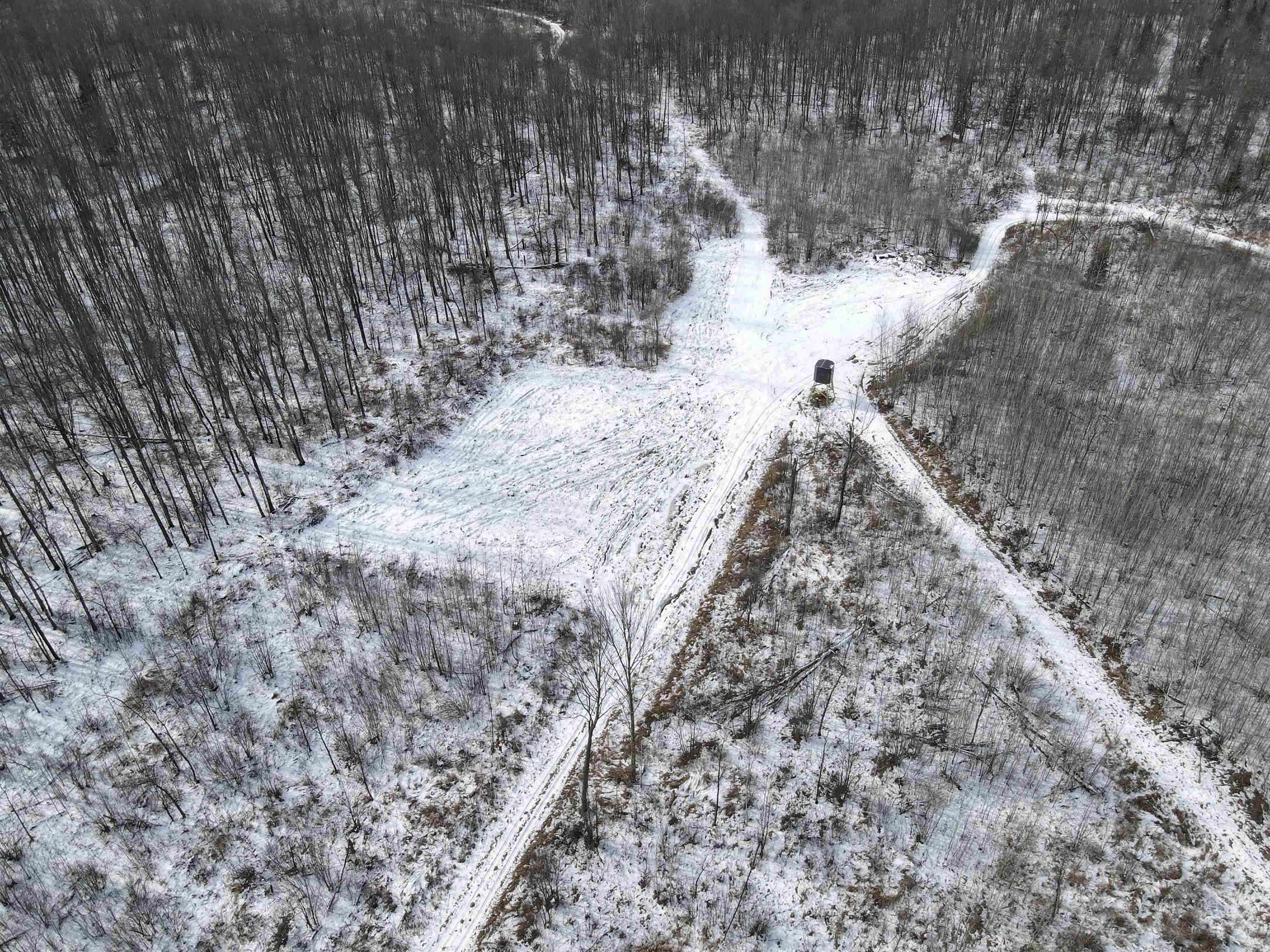 00 WILDFLOWER ROAD, Sheldon, Wisconsin 54766, ,Land,For Sale,00 WILDFLOWER ROAD,22400747