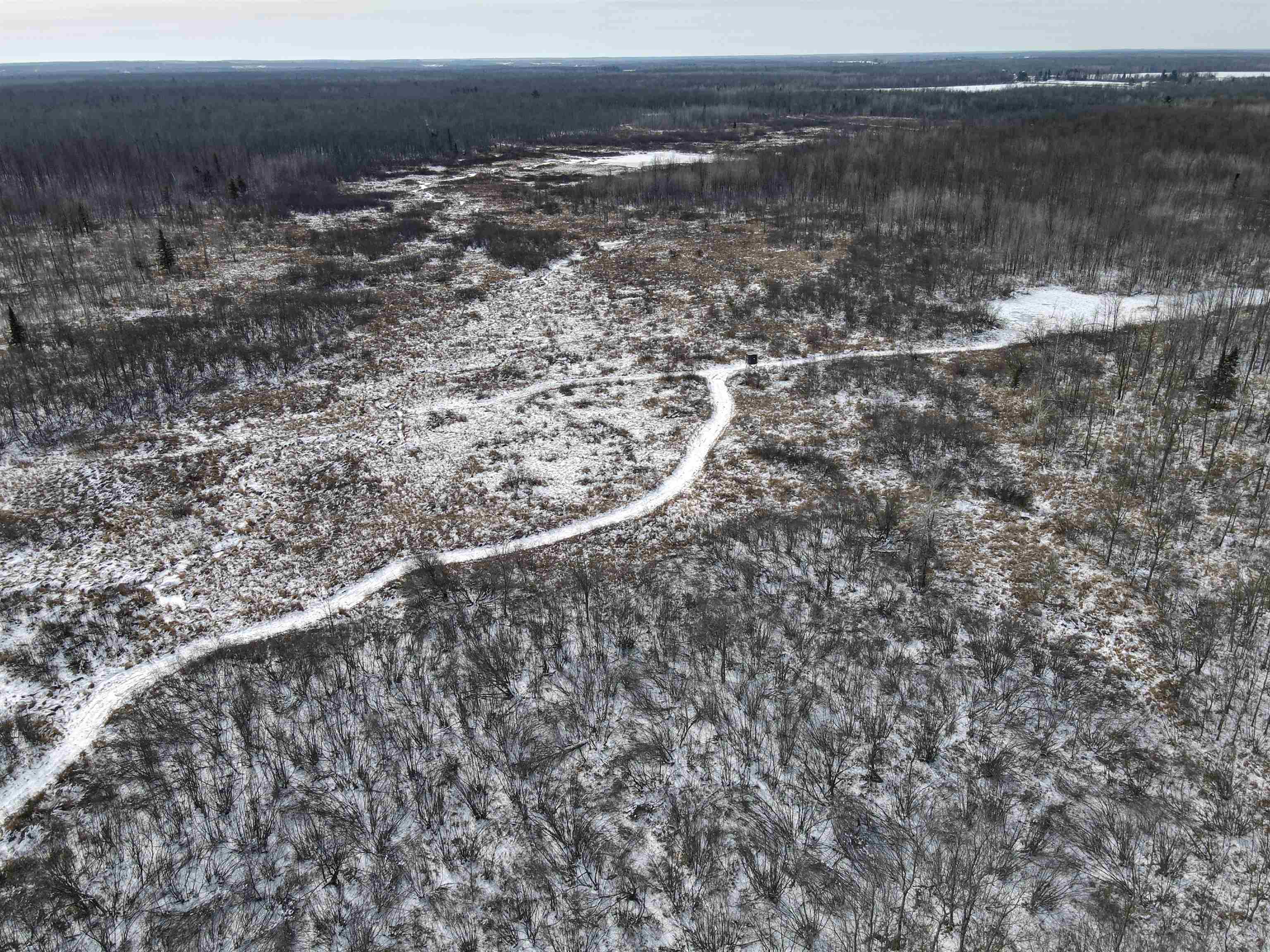 00 WILDFLOWER ROAD, Sheldon, Wisconsin 54766, ,Land,For Sale,00 WILDFLOWER ROAD,22400747