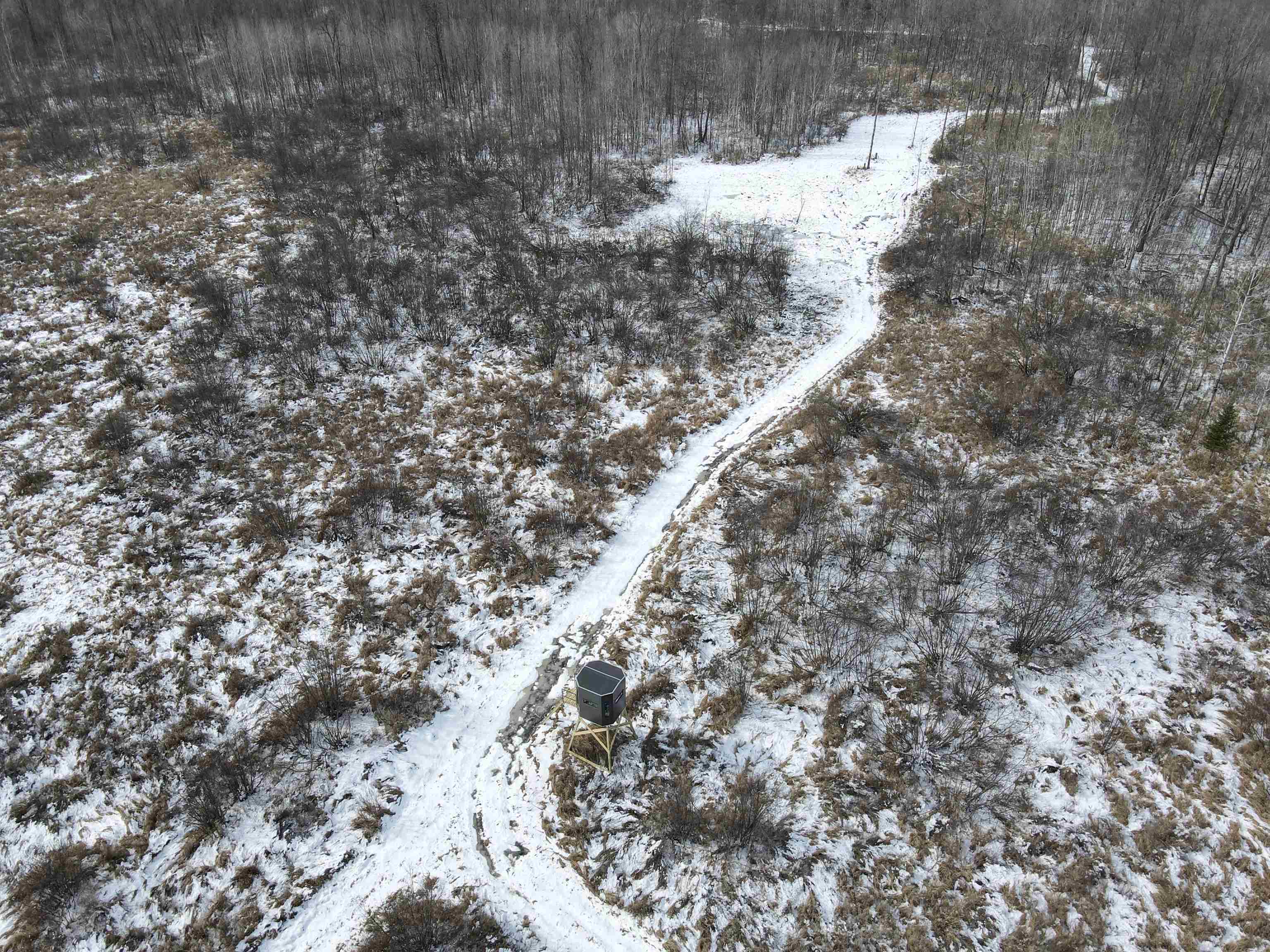 00 WILDFLOWER ROAD, Sheldon, Wisconsin 54766, ,Land,For Sale,00 WILDFLOWER ROAD,22400747