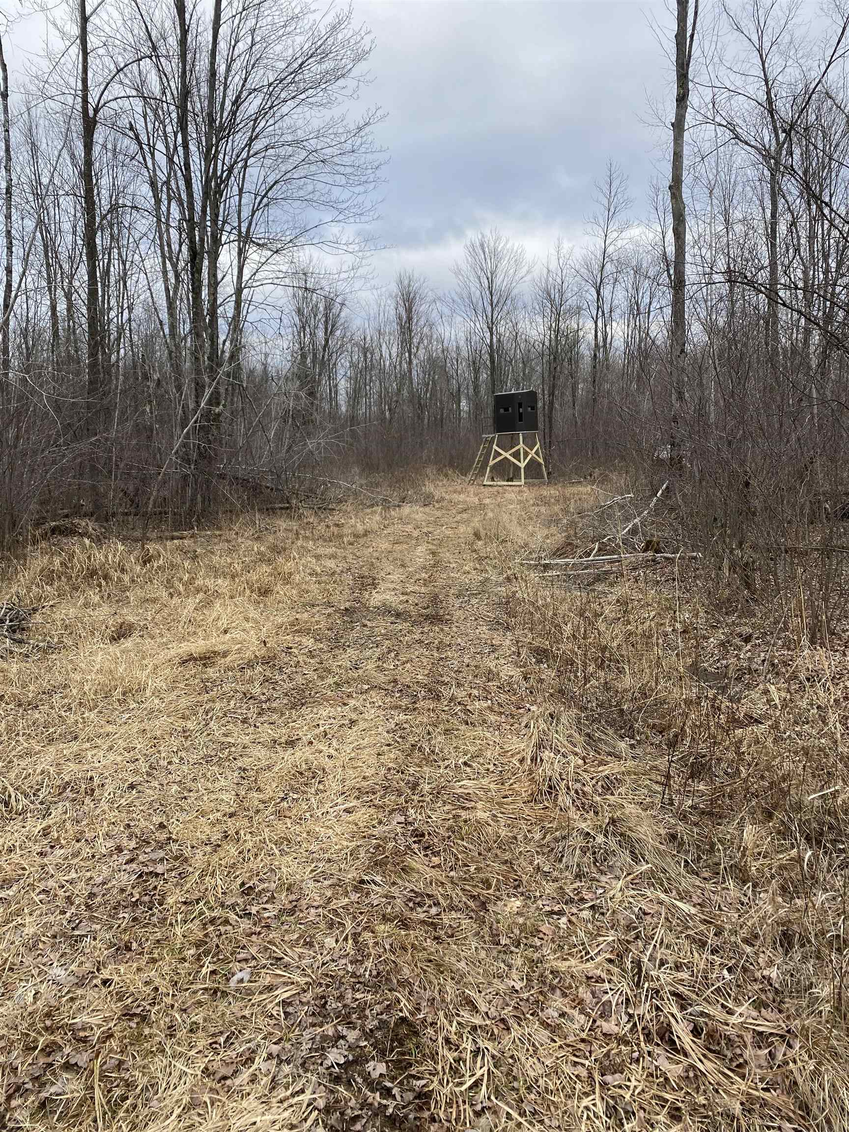 00 WILDFLOWER ROAD, Sheldon, Wisconsin 54766, ,Land,For Sale,00 WILDFLOWER ROAD,22400747