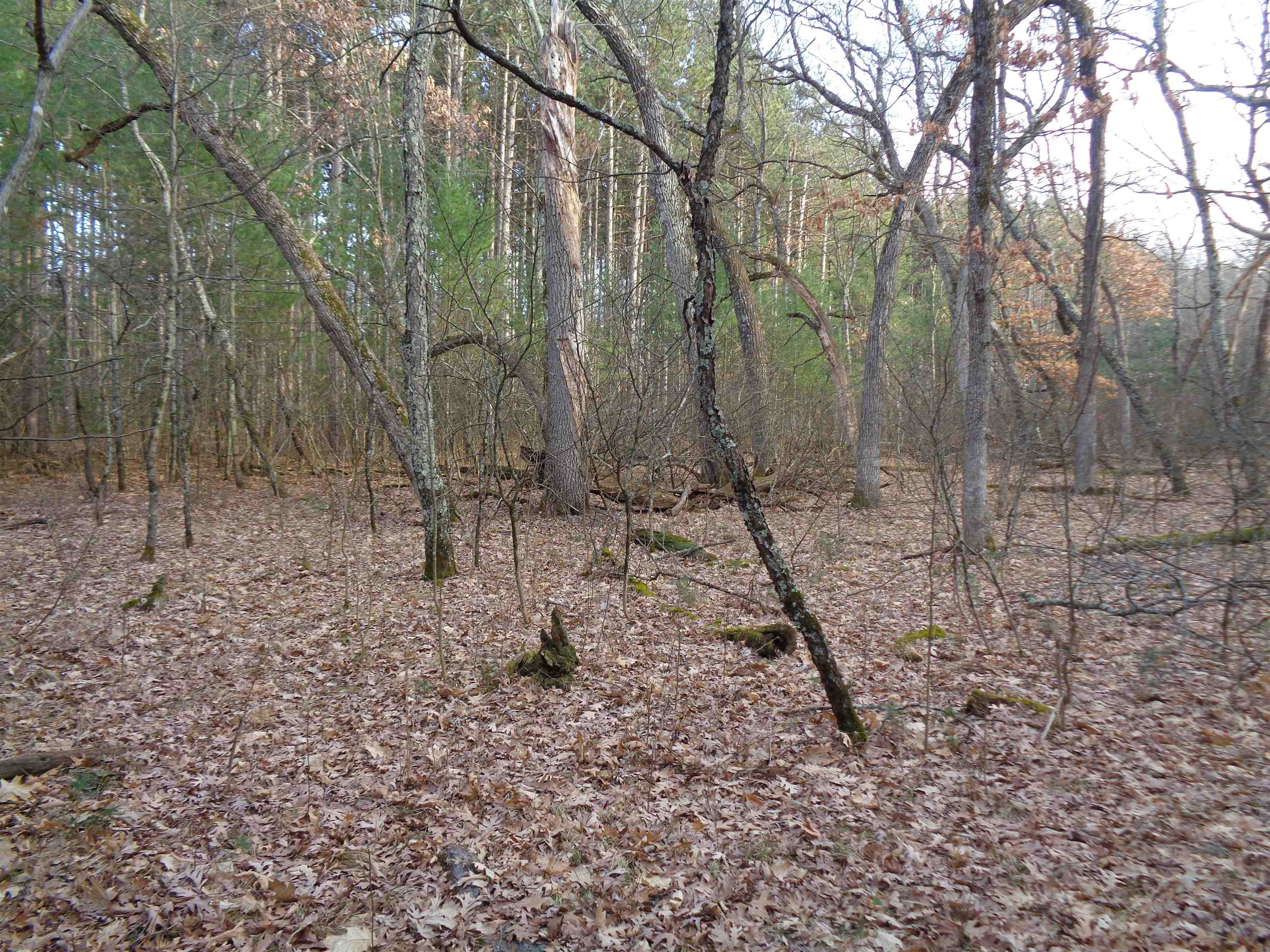 W12289 DEER PATH