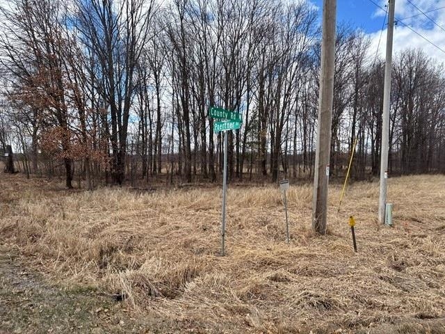 00 COUNTY ROAD W, Granton, Wisconsin 54436, ,Land,For Sale,00 COUNTY ROAD W,22401301
