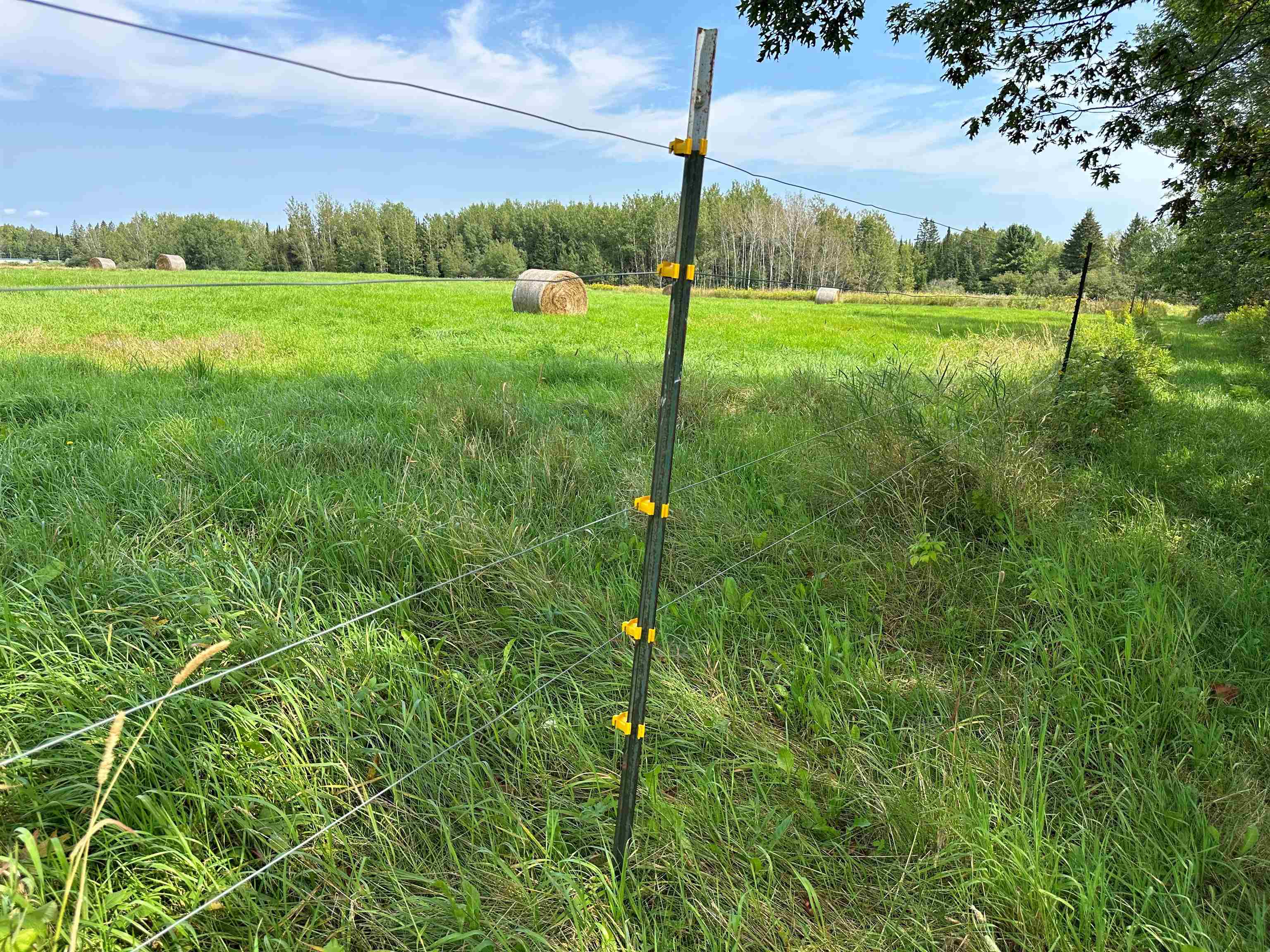 STADIUM ROAD, Brantwood, Wisconsin 54513, ,Land,For Sale,STADIUM ROAD,22401553