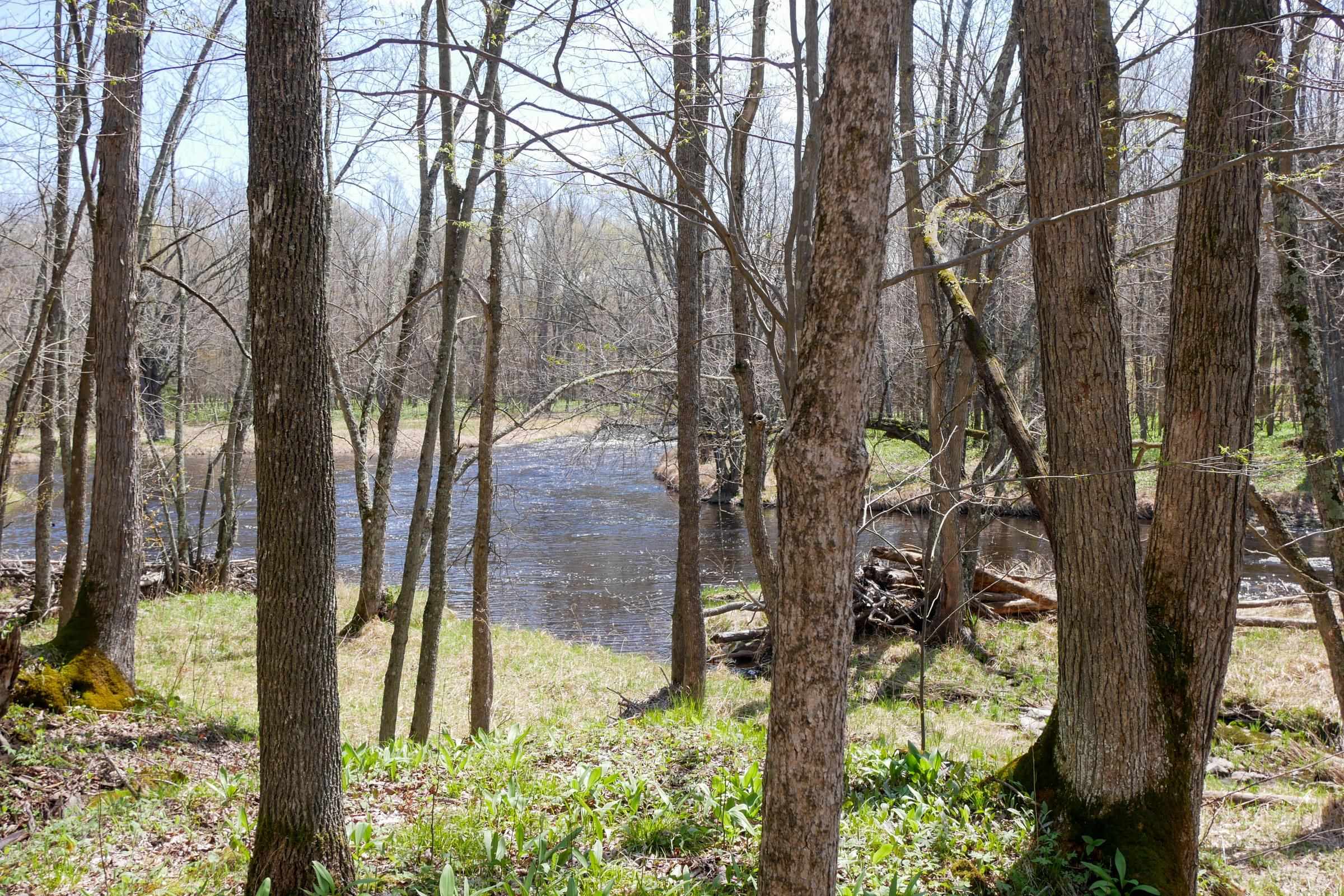 W15997 POLLEY LANE, Gilman, Wisconsin 54433, ,Land,For Sale,W15997 POLLEY LANE,22401689