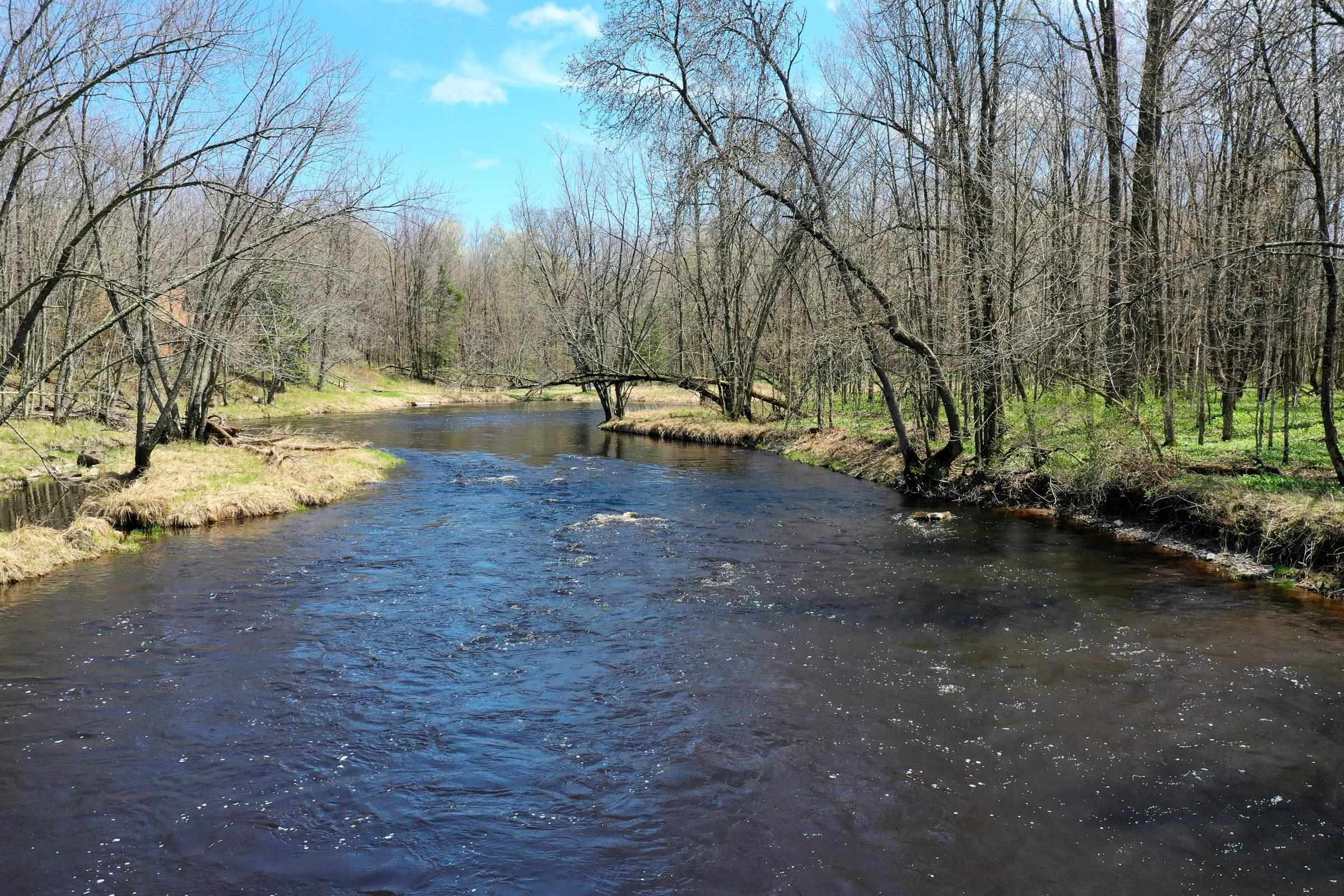 W15997 POLLEY LANE, Gilman, Wisconsin 54433, ,Land,For Sale,W15997 POLLEY LANE,22401689