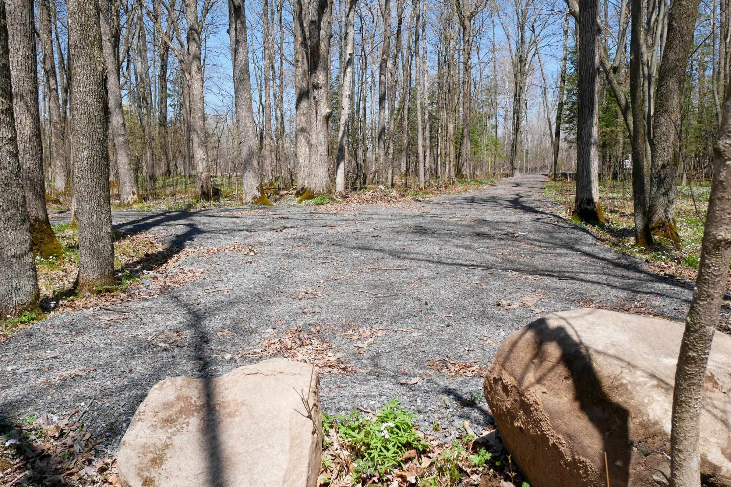 W15997 POLLEY LANE, Gilman, Wisconsin 54433, ,Land,For Sale,W15997 POLLEY LANE,22401689