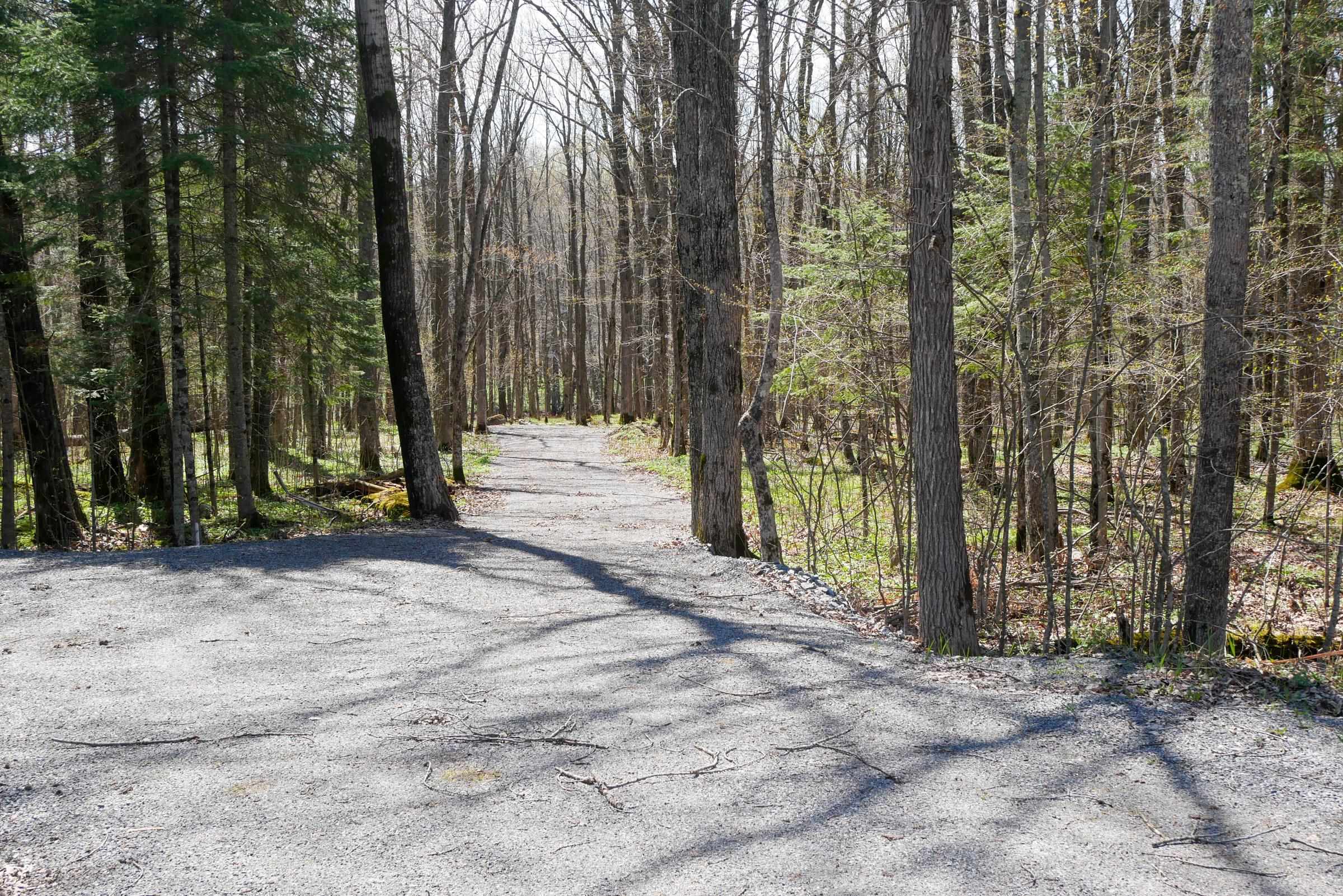 W15997 POLLEY LANE, Gilman, Wisconsin 54433, ,Land,For Sale,W15997 POLLEY LANE,22401689
