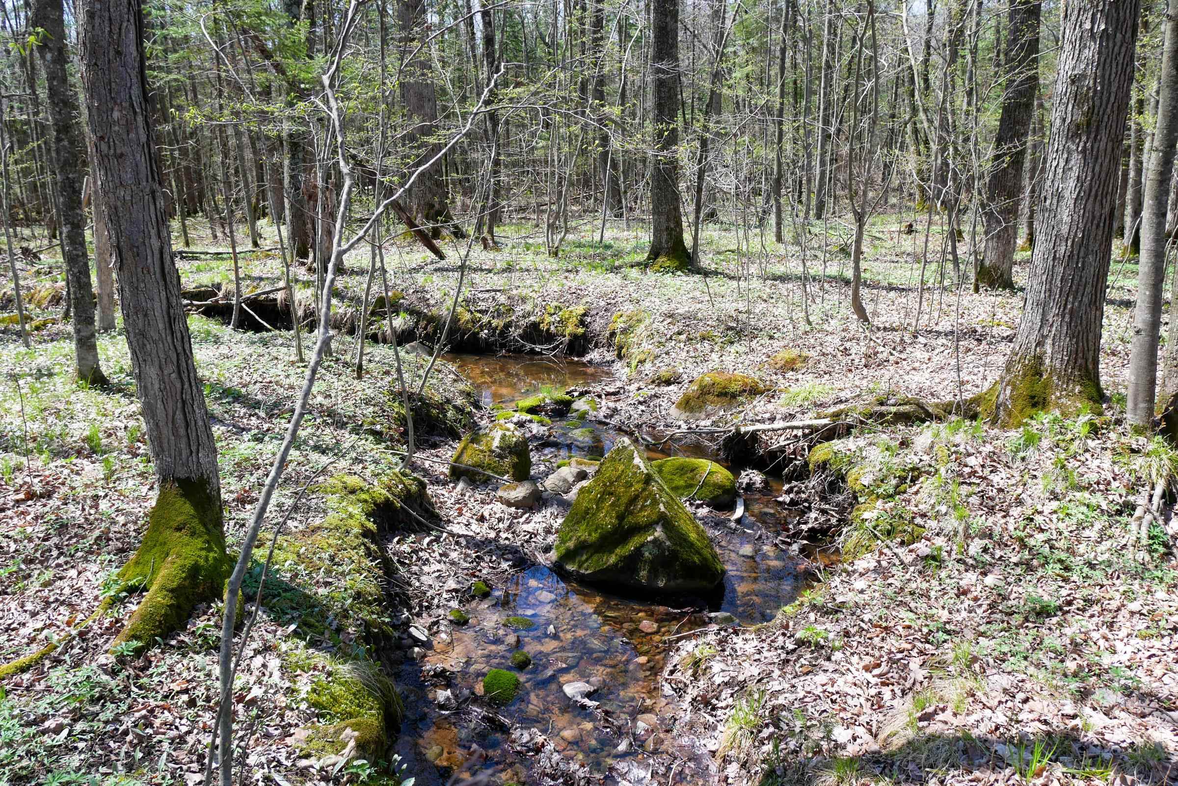 W15997 POLLEY LANE, Gilman, Wisconsin 54433, ,Land,For Sale,W15997 POLLEY LANE,22401689