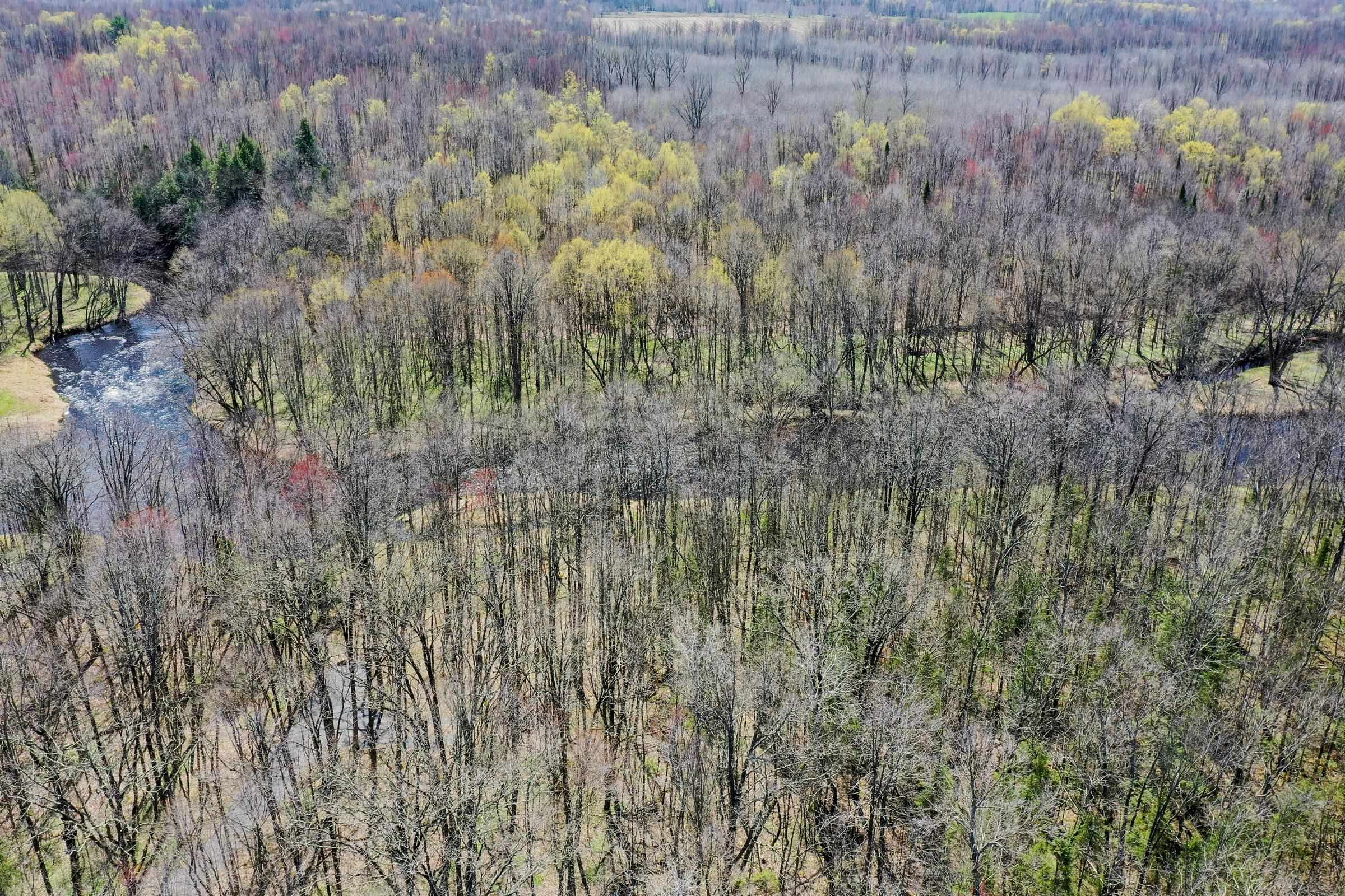 W15997 POLLEY LANE, Gilman, Wisconsin 54433, ,Land,For Sale,W15997 POLLEY LANE,22401689
