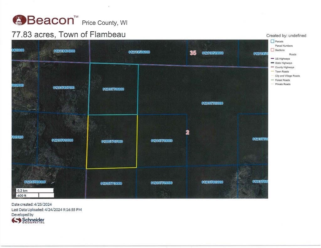 NO NAME ROAD, Phillips, Wisconsin 54555, ,Land,For Sale,NO NAME ROAD,22401702