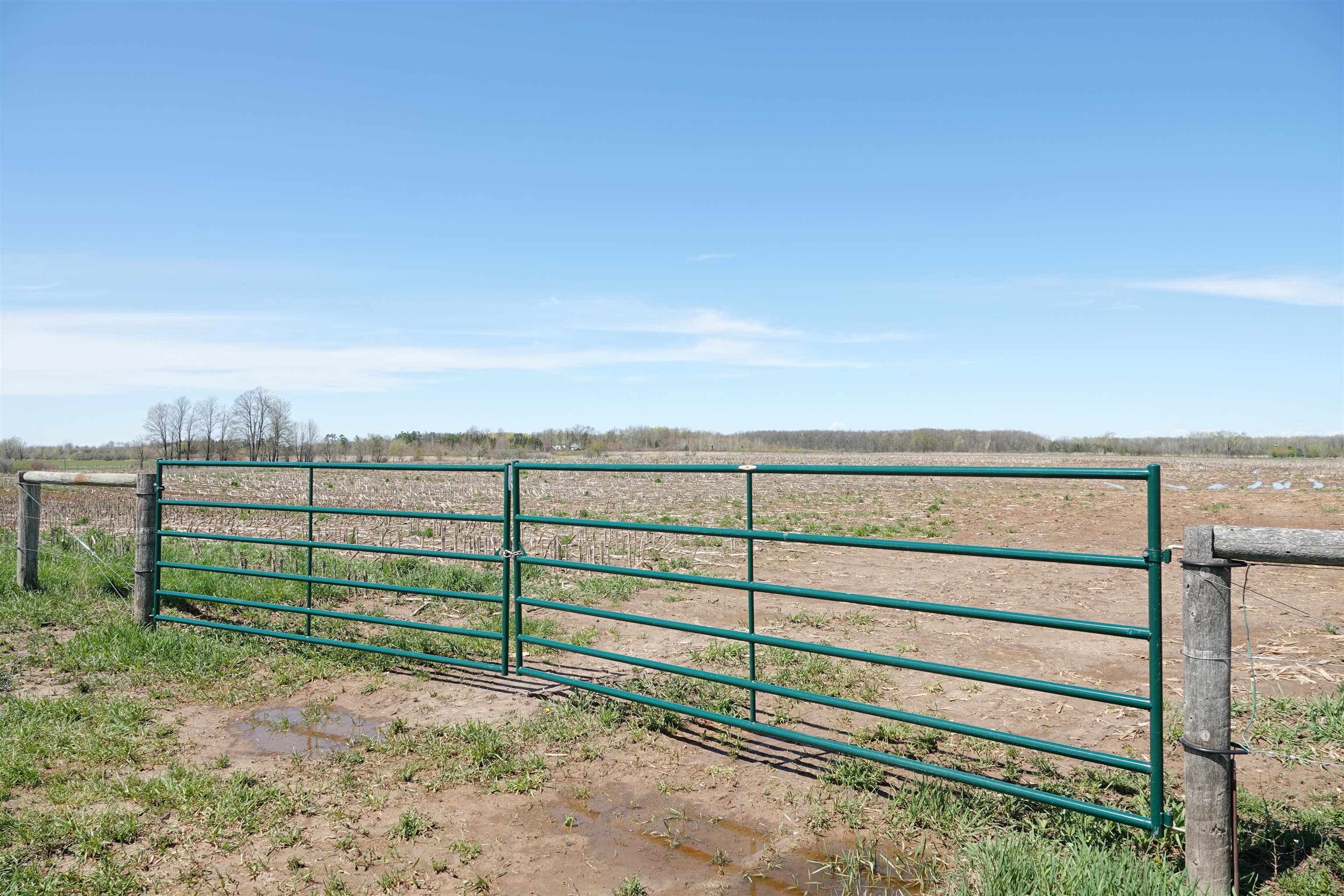 202580 N FREY AVENUE, Marshfield, Wisconsin 54449, 2 Bedrooms Bedrooms, ,2 BathroomsBathrooms,Farm/agriculture,For Sale,202580 N FREY AVENUE,22401732
