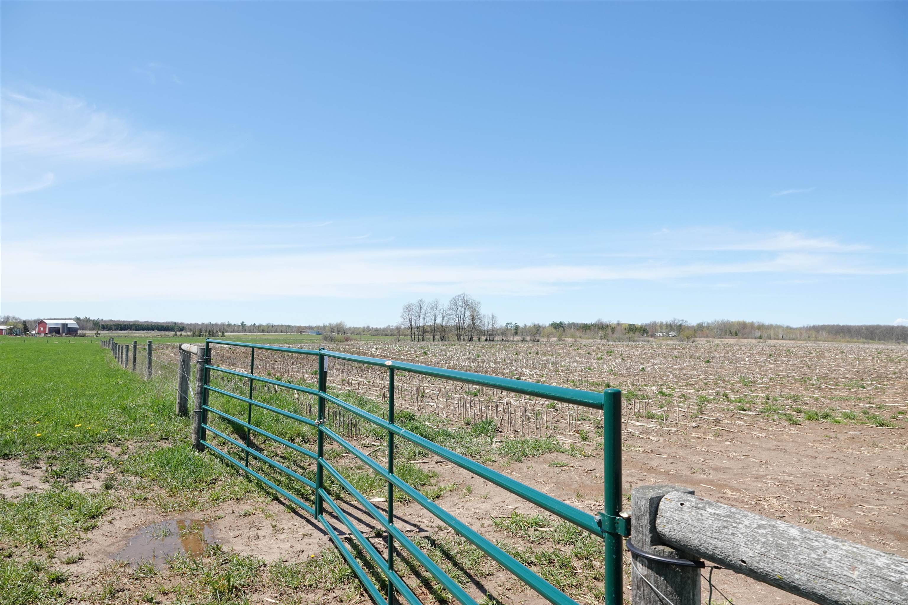 202580 N FREY AVENUE, Marshfield, Wisconsin 54449, 2 Bedrooms Bedrooms, ,2 BathroomsBathrooms,Farm/agriculture,For Sale,202580 N FREY AVENUE,22401732