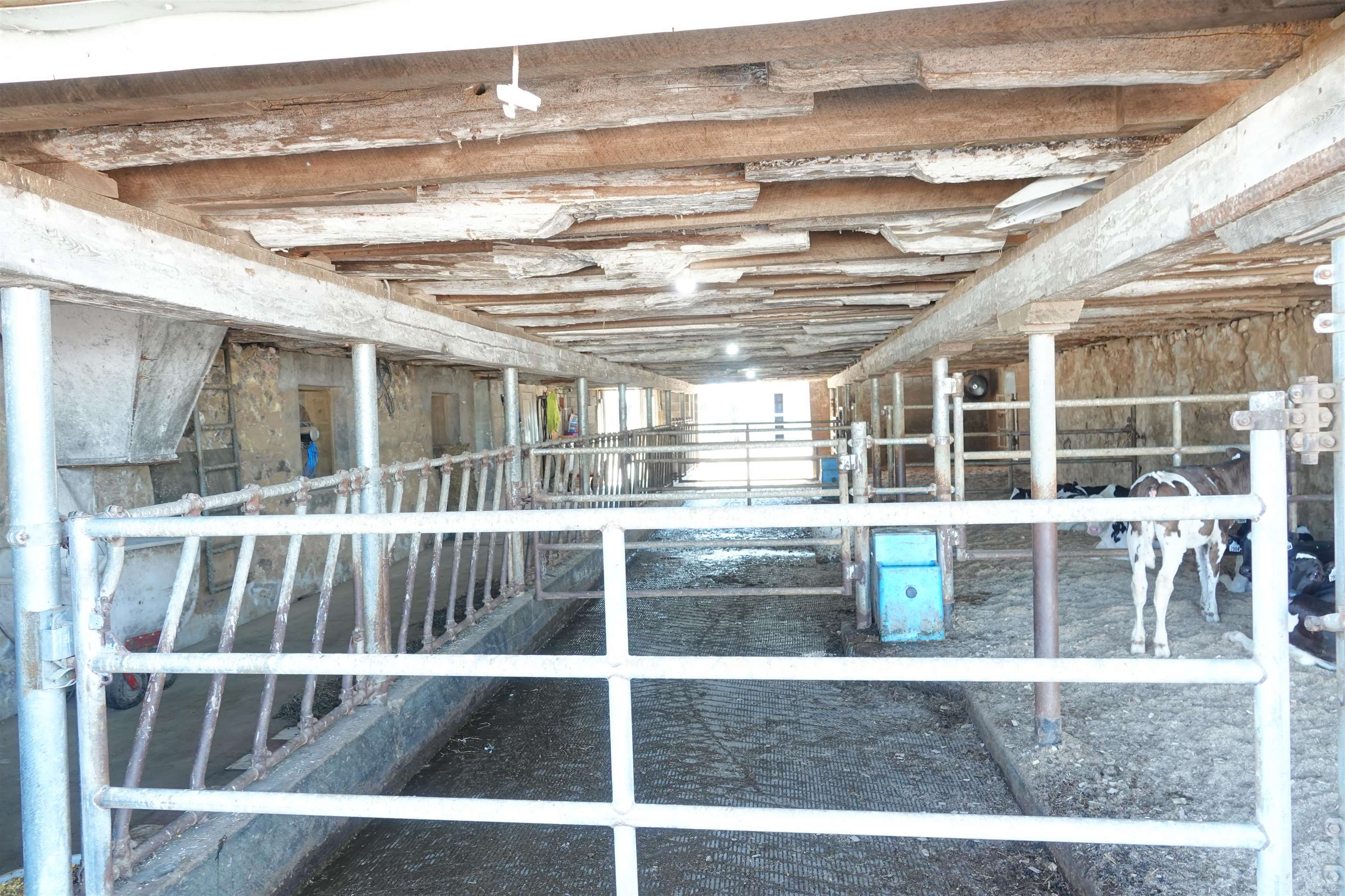 202580 N FREY AVENUE, Marshfield, Wisconsin 54449, 2 Bedrooms Bedrooms, ,2 BathroomsBathrooms,Farm/agriculture,For Sale,202580 N FREY AVENUE,22401732