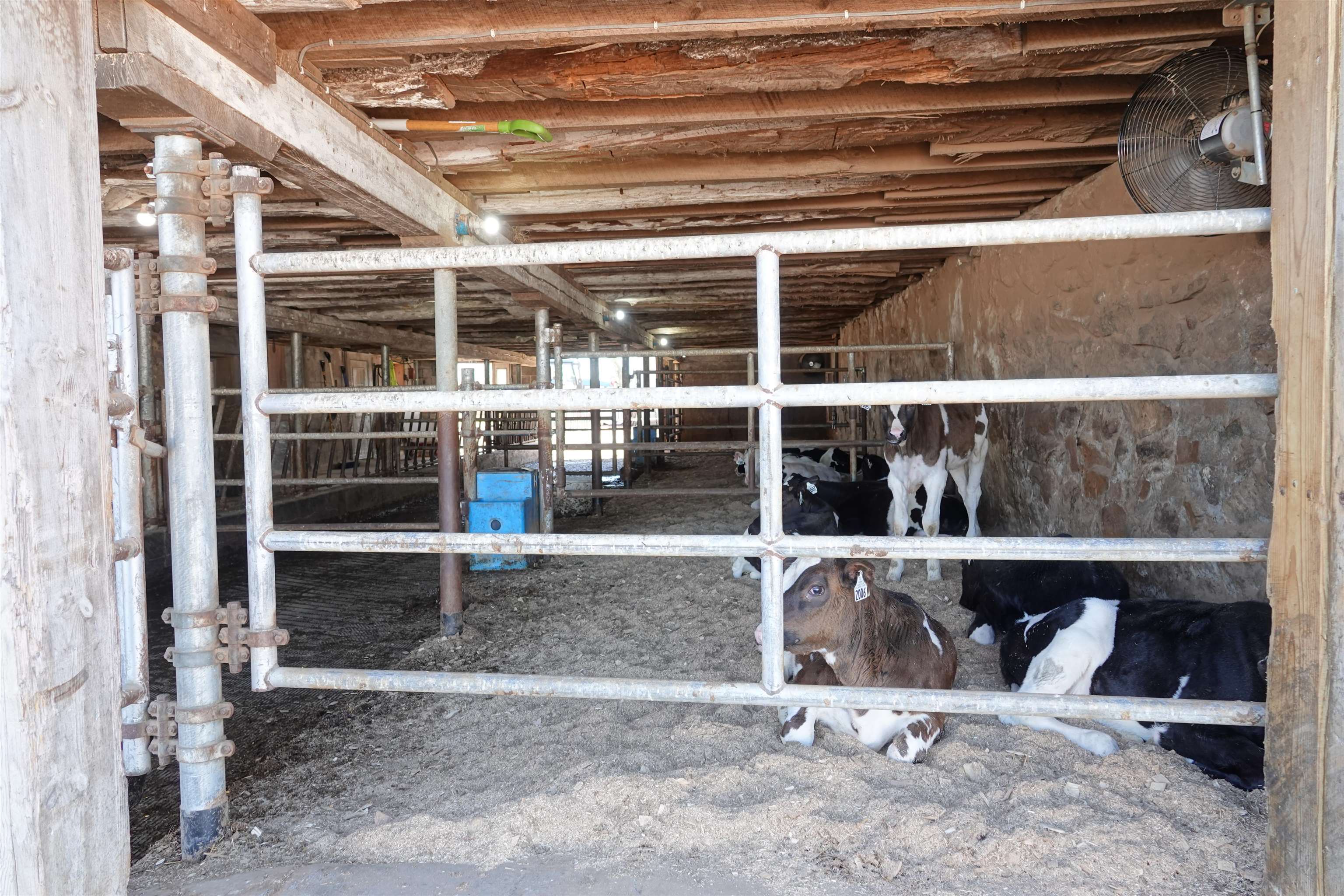 202580 N FREY AVENUE, Marshfield, Wisconsin 54449, 2 Bedrooms Bedrooms, ,2 BathroomsBathrooms,Farm/agriculture,For Sale,202580 N FREY AVENUE,22401732